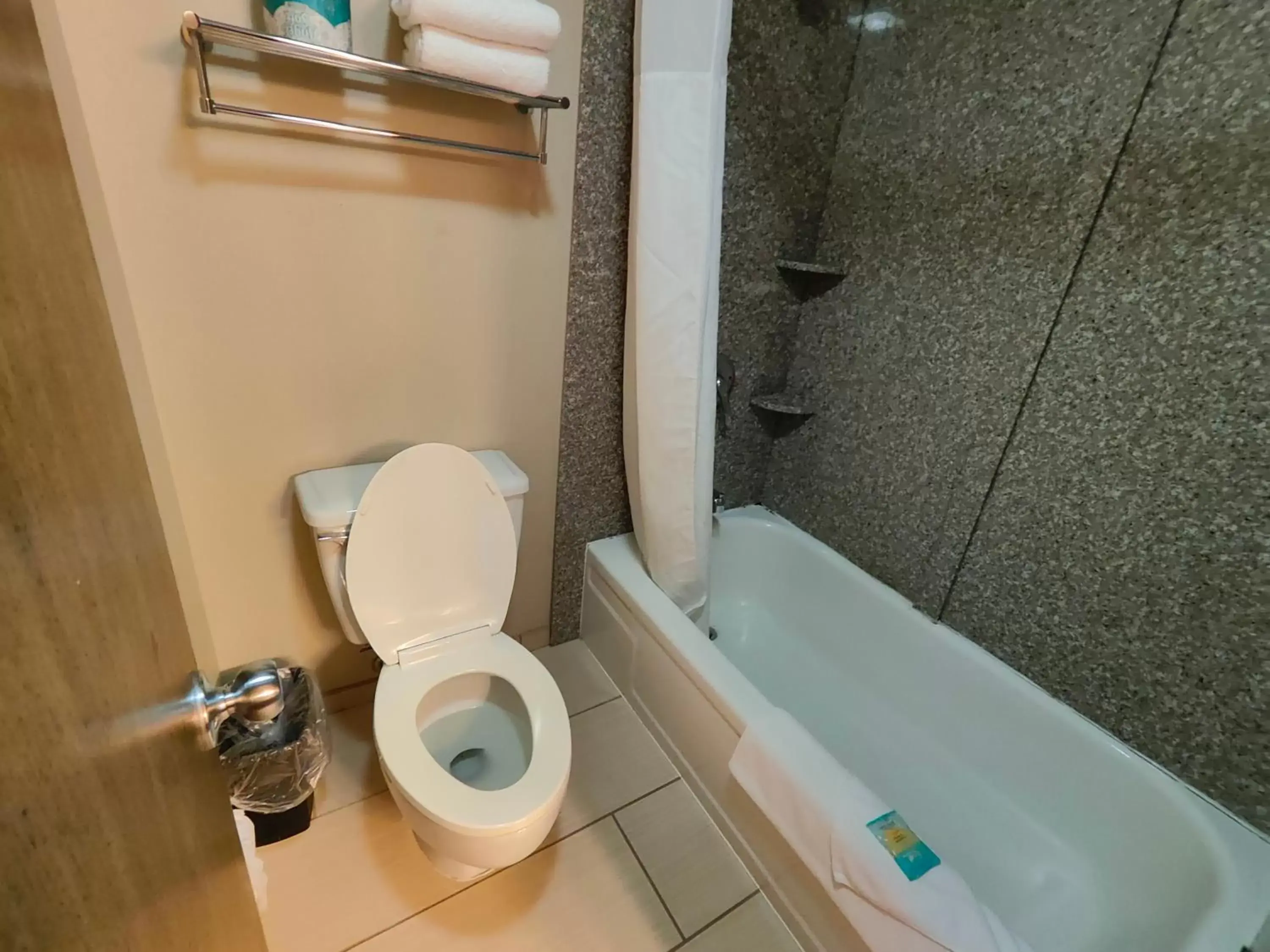 Shower, Bathroom in Roosevelt Hotel