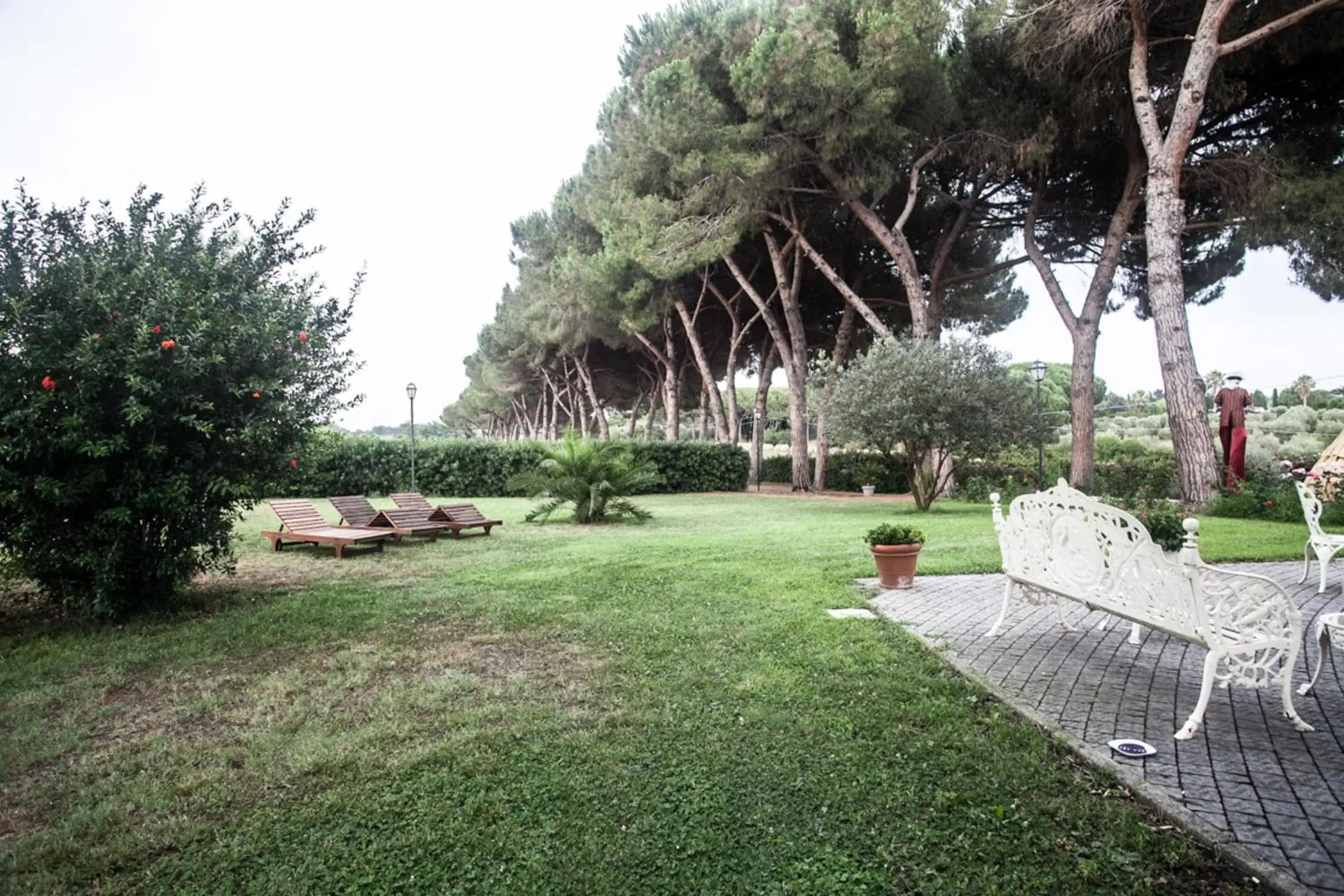 Garden in Villa Strampelli