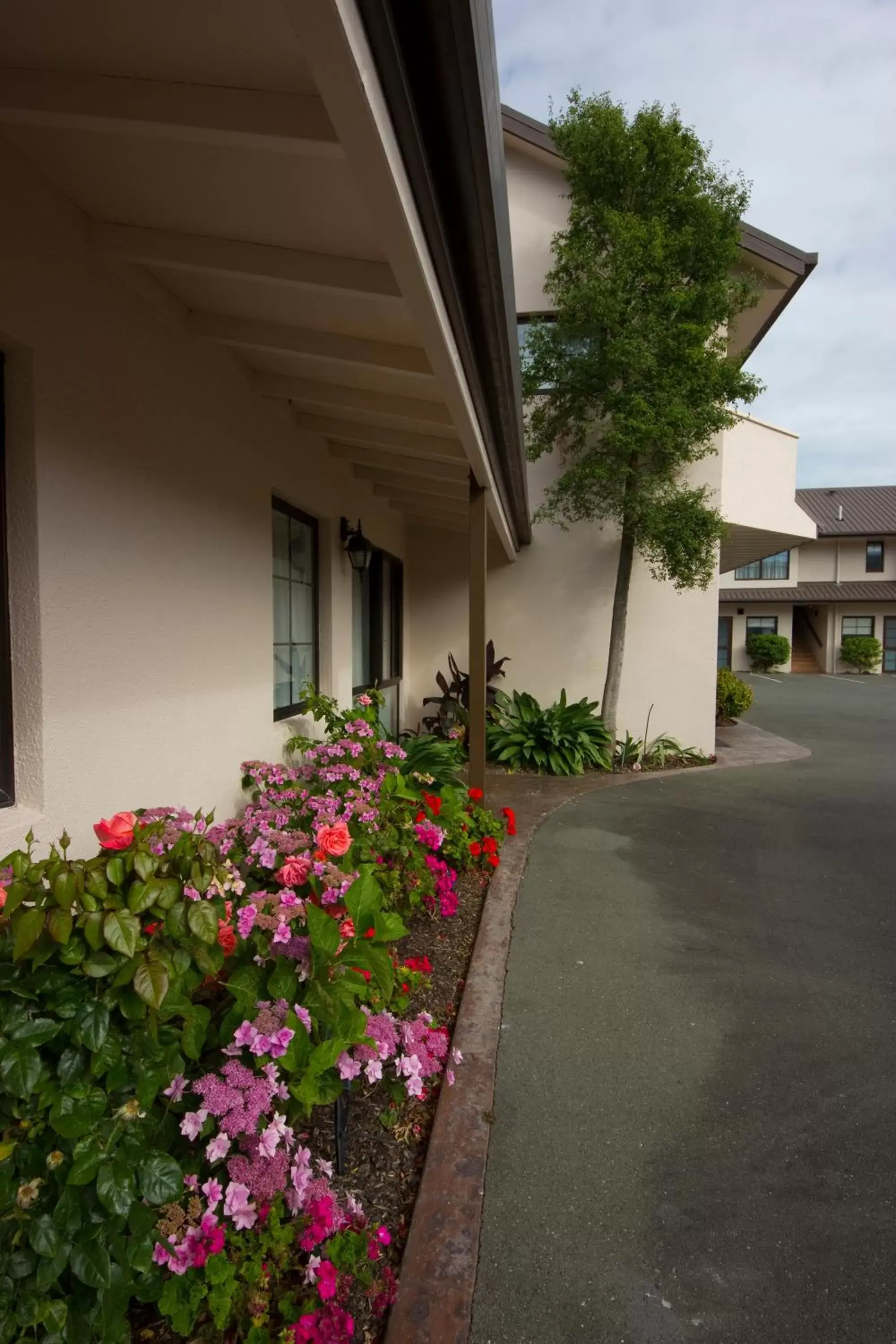 Garden in Arrow Motel Apartments