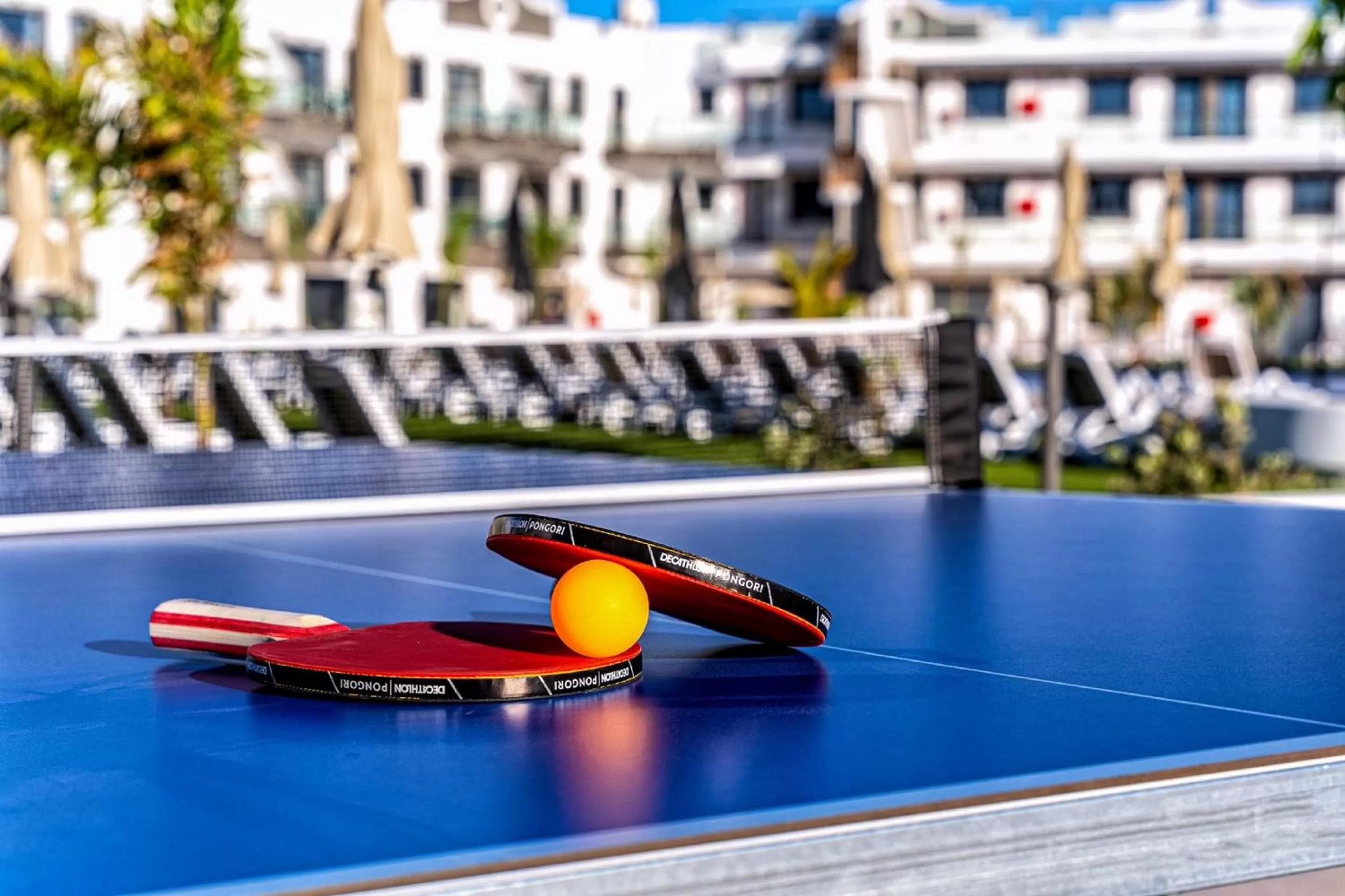 Entertainment in Hotel Cordial Marina Blanca