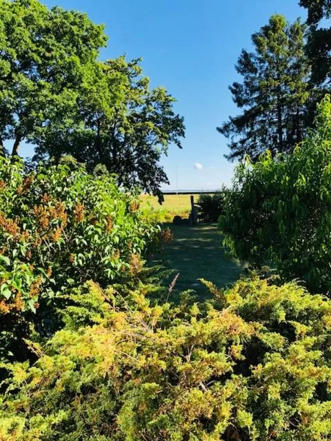 Balcony/Terrace in Hotel-Marks-Garni