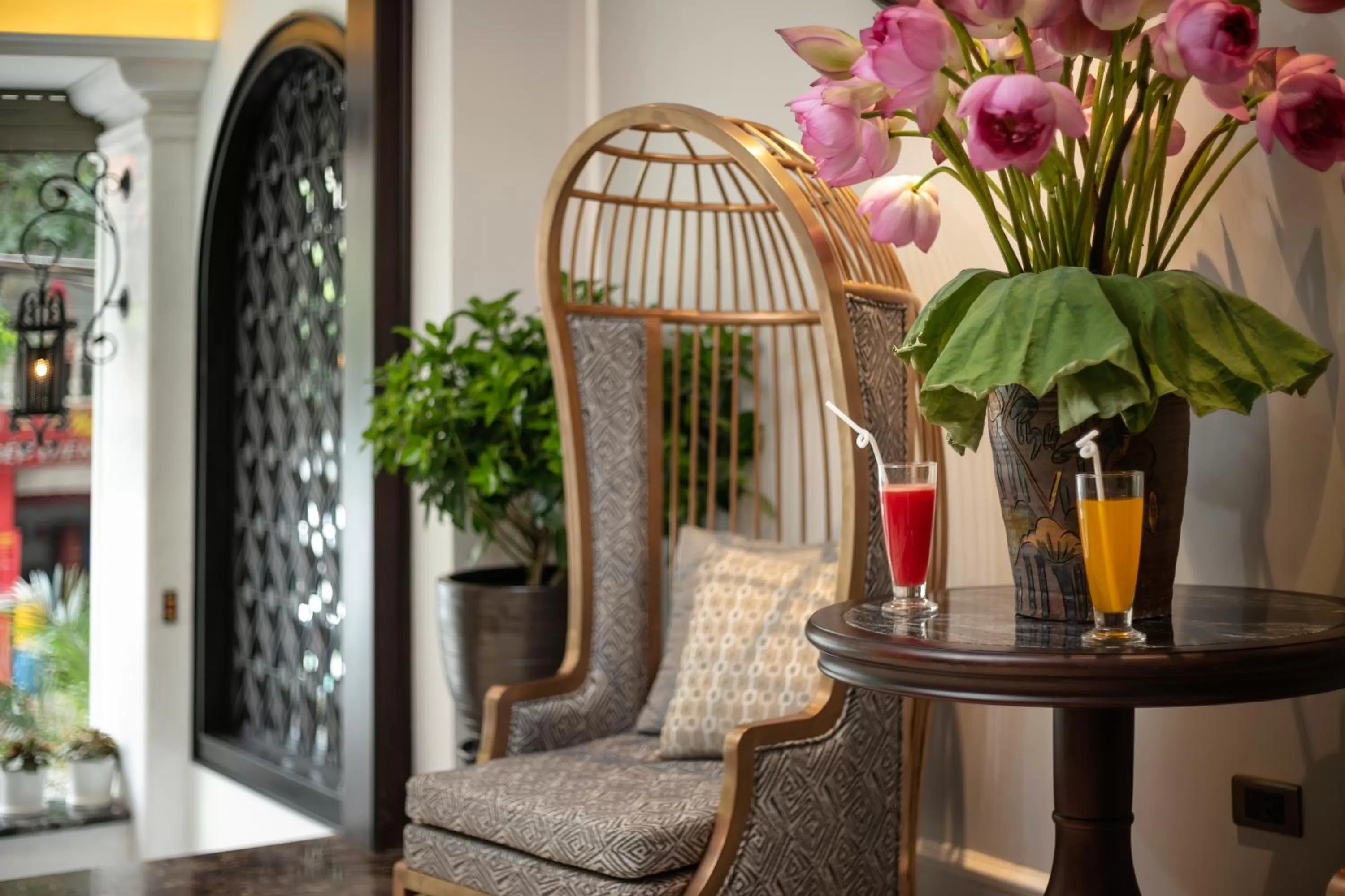 Area and facilities in Canary Hotel