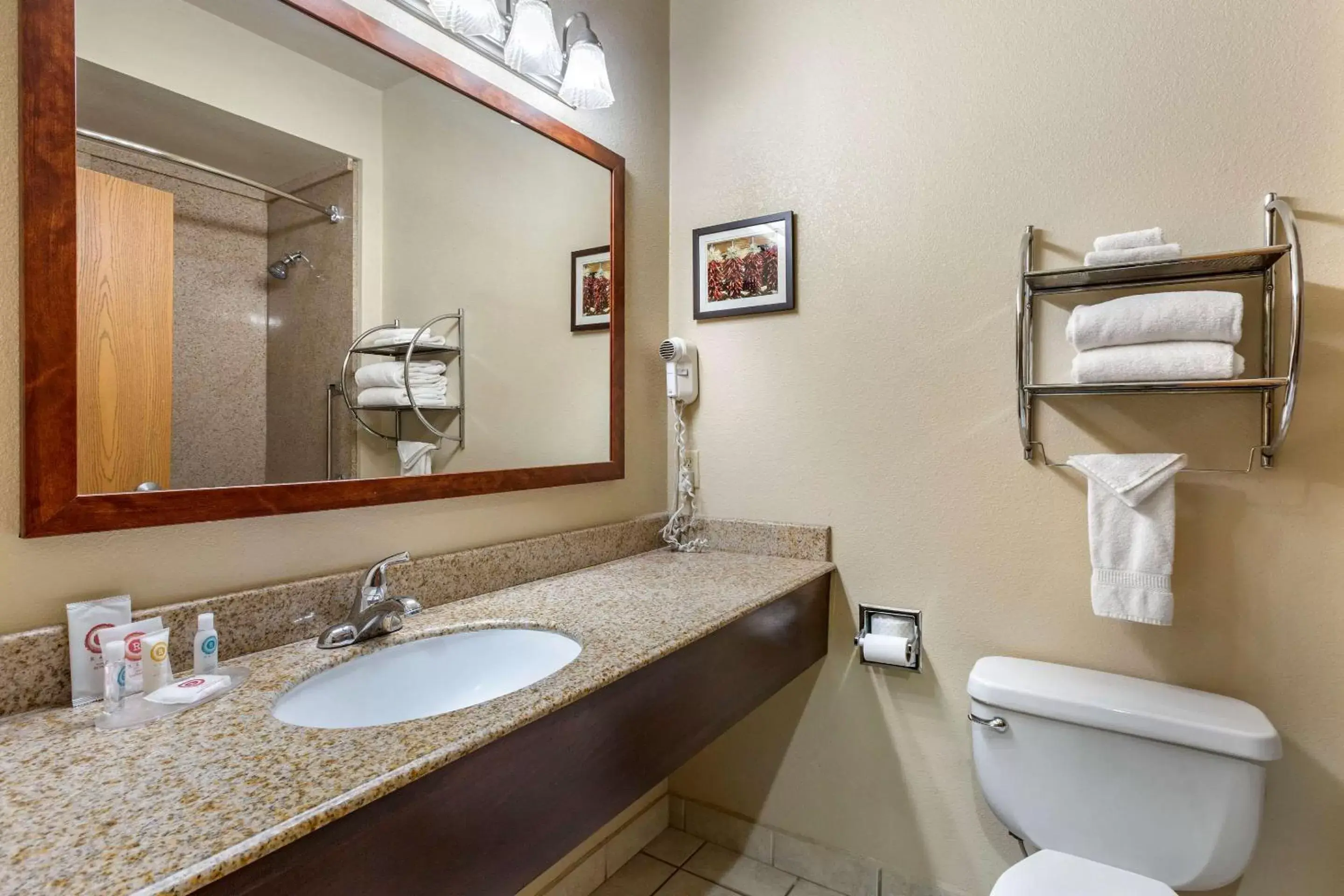 Bathroom in Comfort Inn & Suites Deming