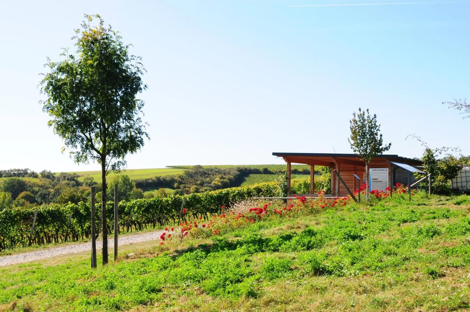 Natural landscape in Aparthotel Alte Schmiede Dettelbach