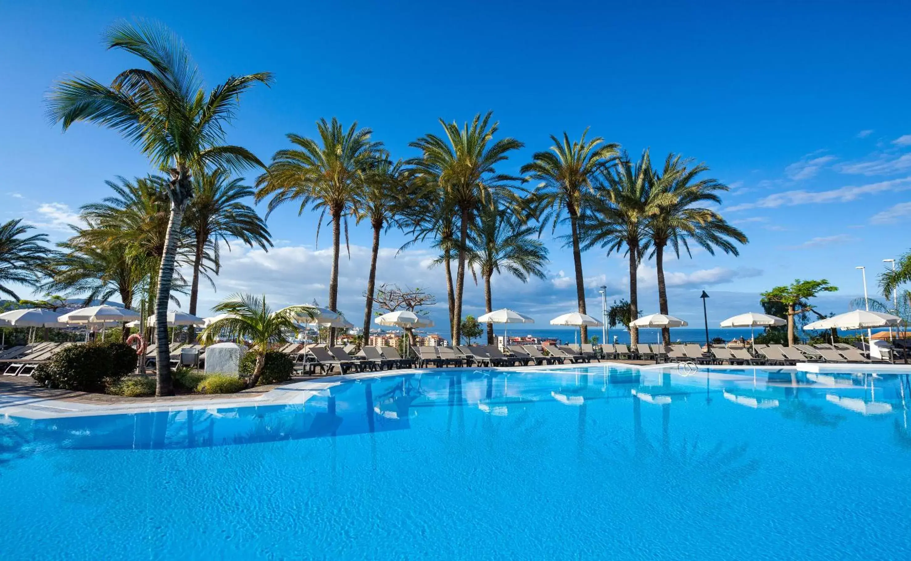 Swimming Pool in Melia Jardines del Teide - Adults Only