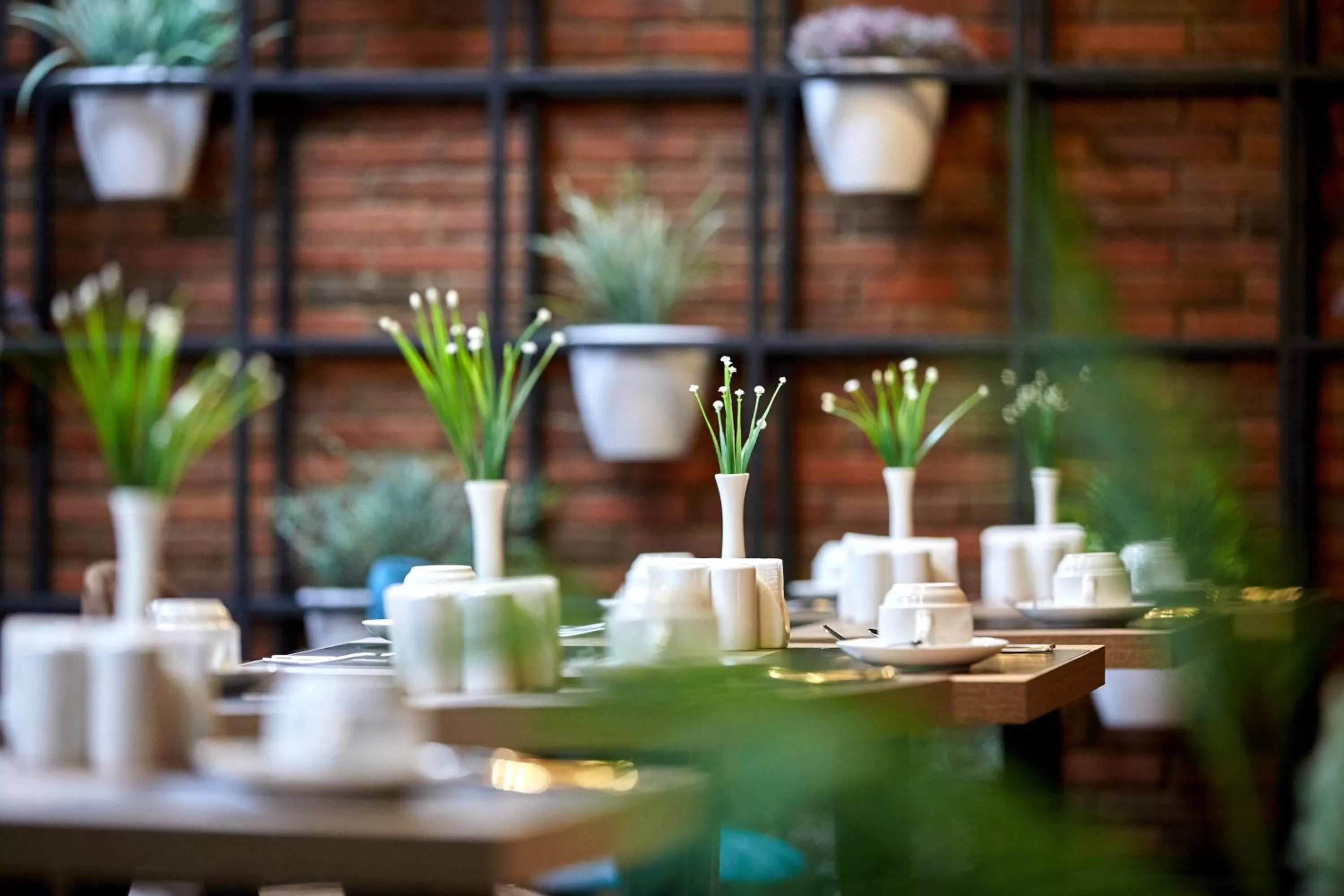 Restaurant/places to eat in Graphica Tbilisi Hotel