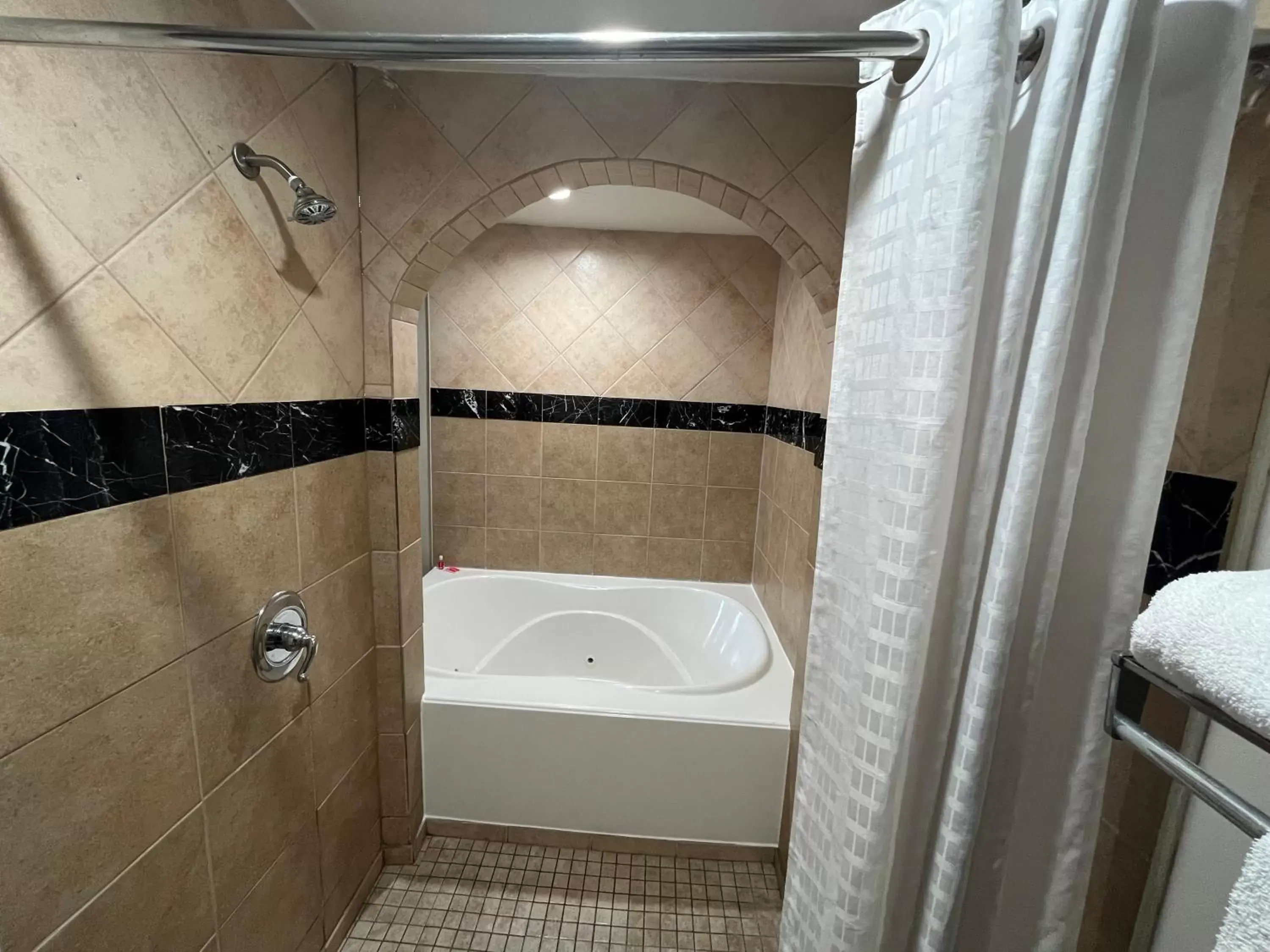 Shower, Bathroom in Econo Lodge Inn & Suites Nashville SE Murfreesboro - MTSU