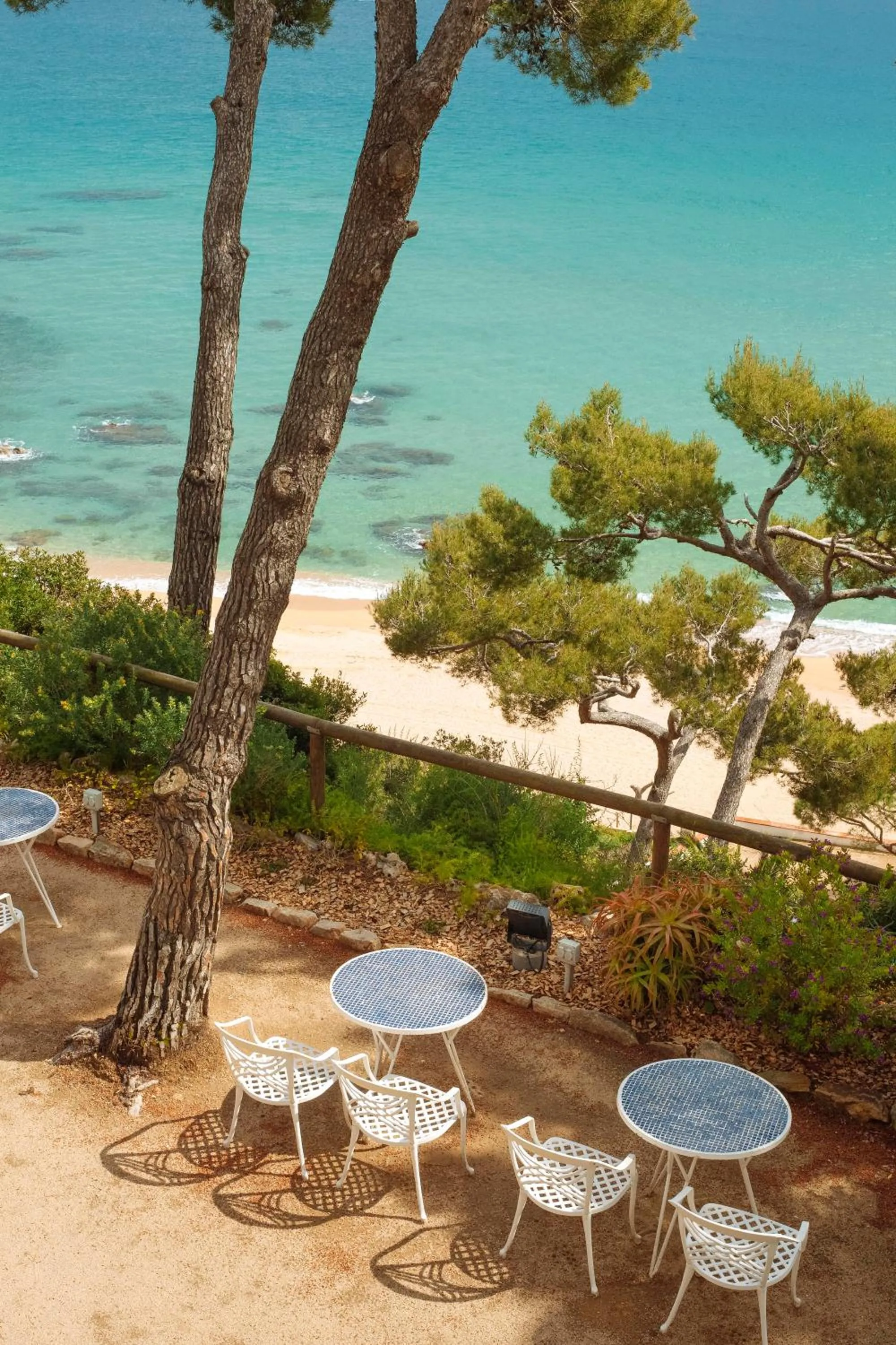 Natural landscape in Hotel Santa Marta