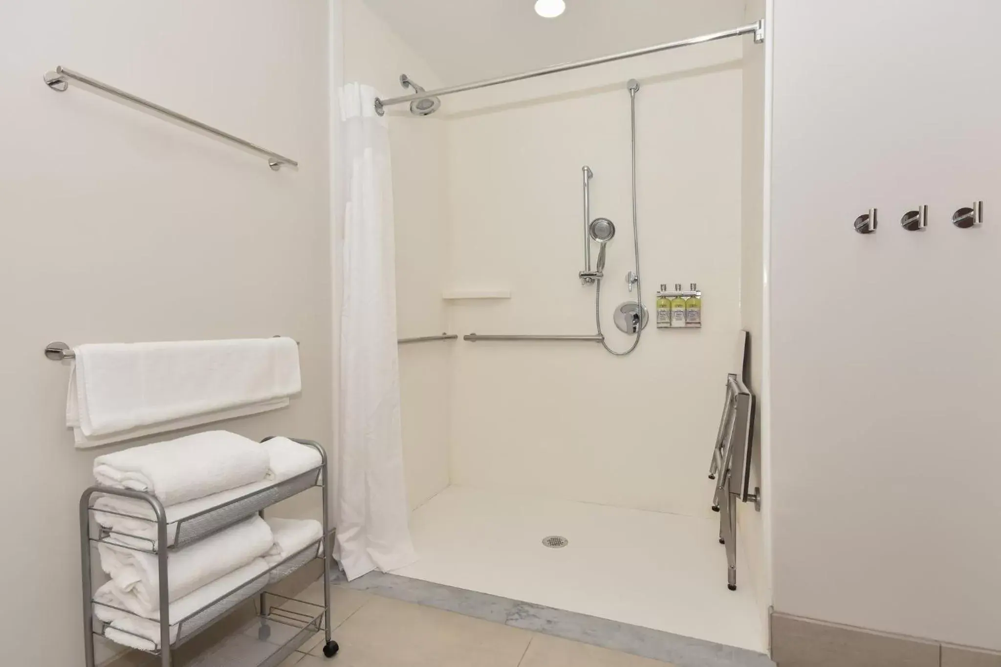 Bathroom in Holiday Inn Express & Suites Charlotte - Ballantyne, an IHG Hotel