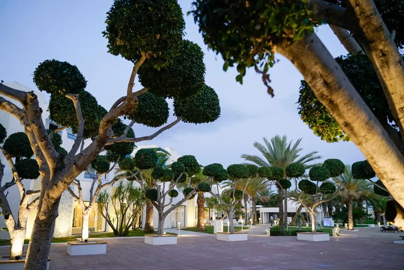 Garden, Property Building in The Mirage Resort & SPA