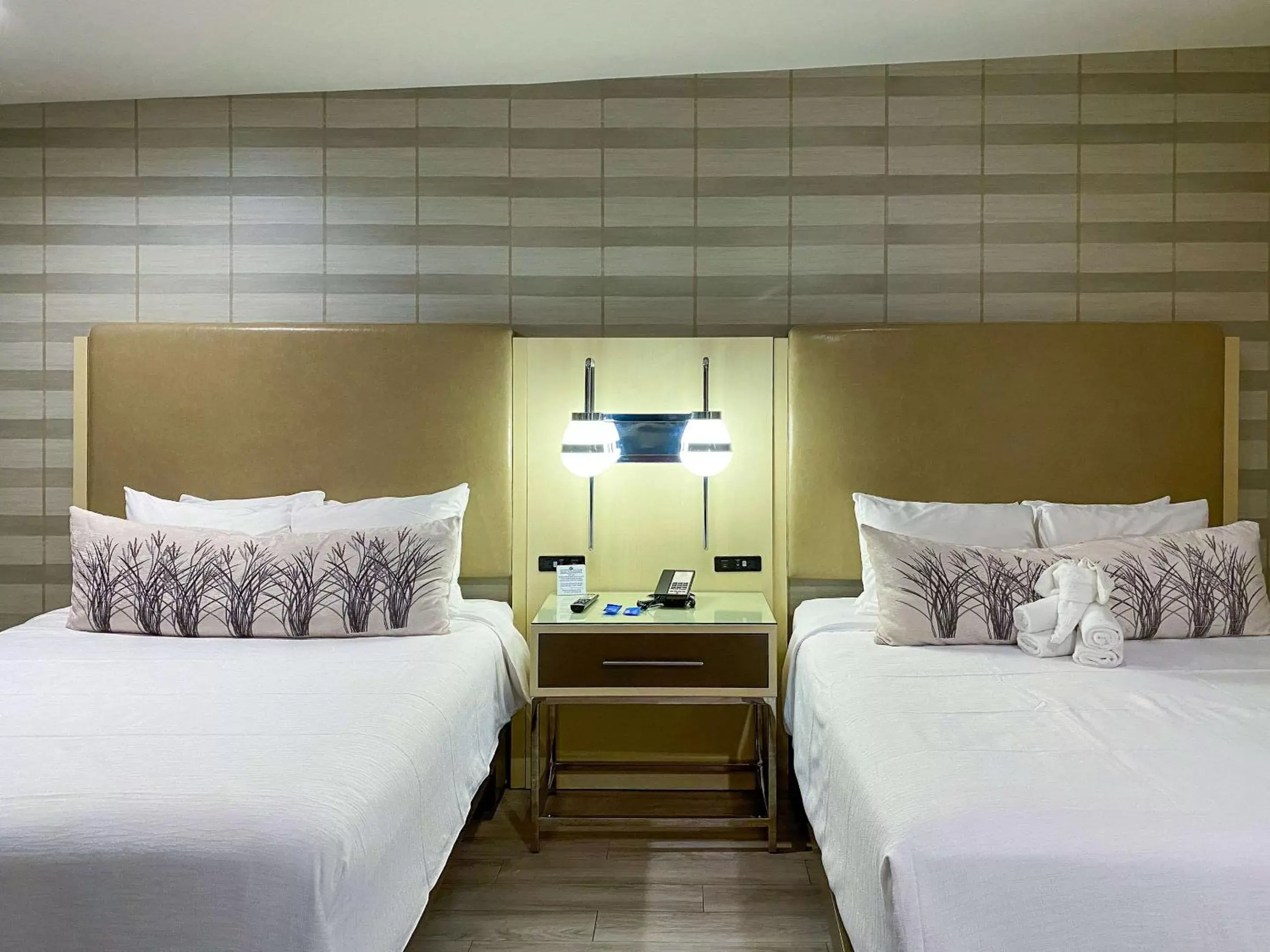 Photo of the whole room, Bed in Bluestem Hotel Torrance Los Angeles, Ascend Hotel Collection