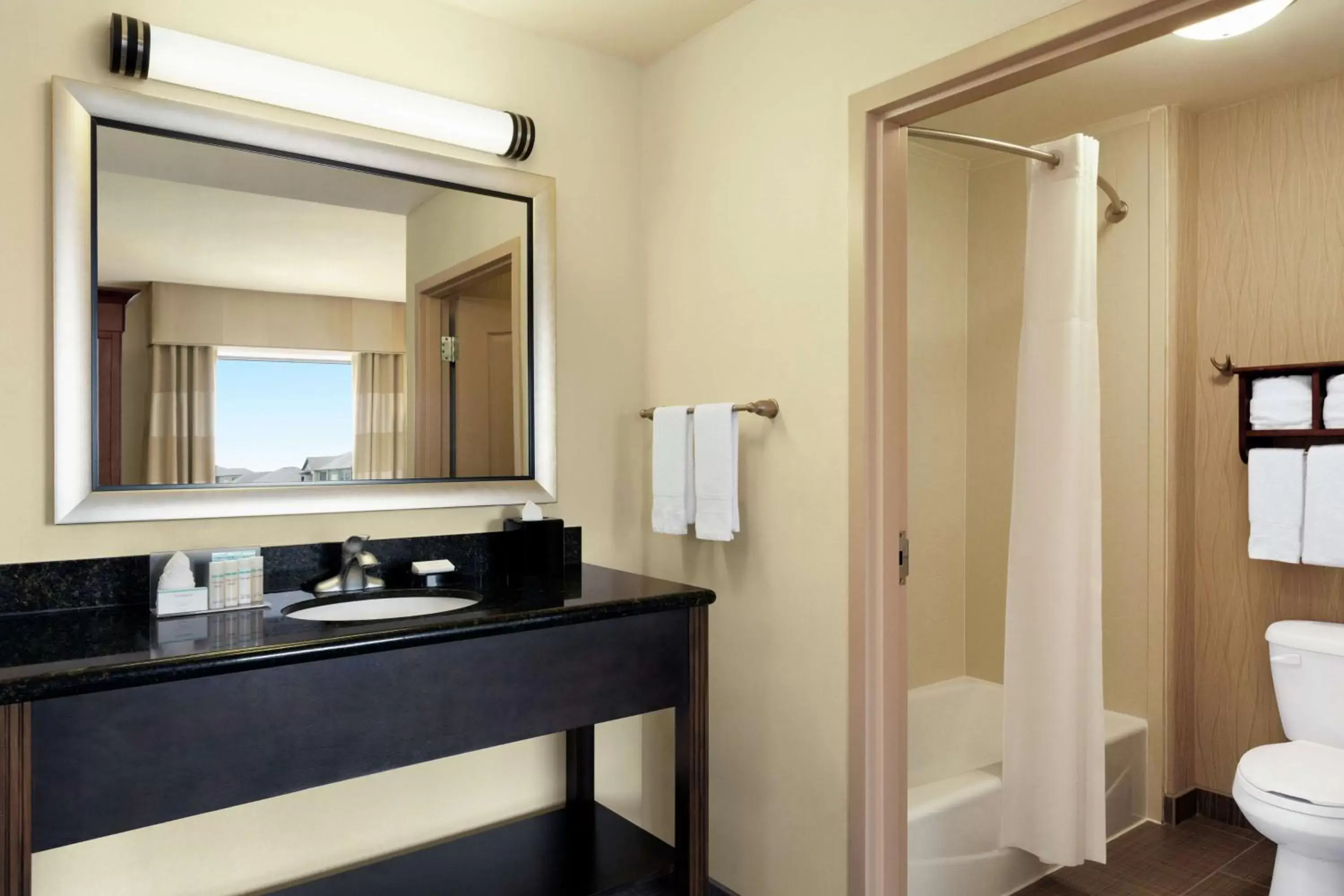 Bathroom in Hampton Inn and Suites Houston Pasadena