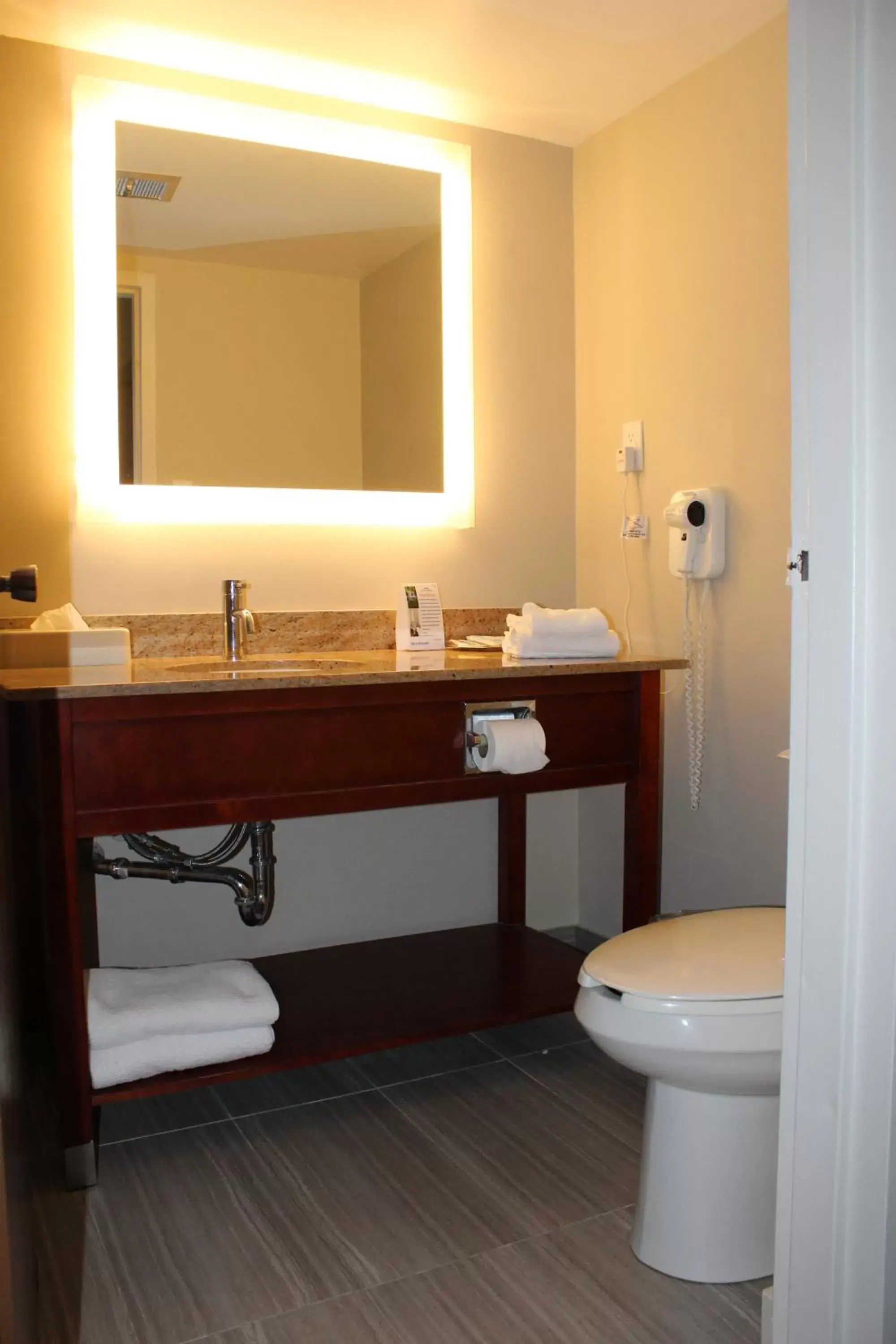 Bathroom in Howard Johnson Plaza by Wyndham Windsor