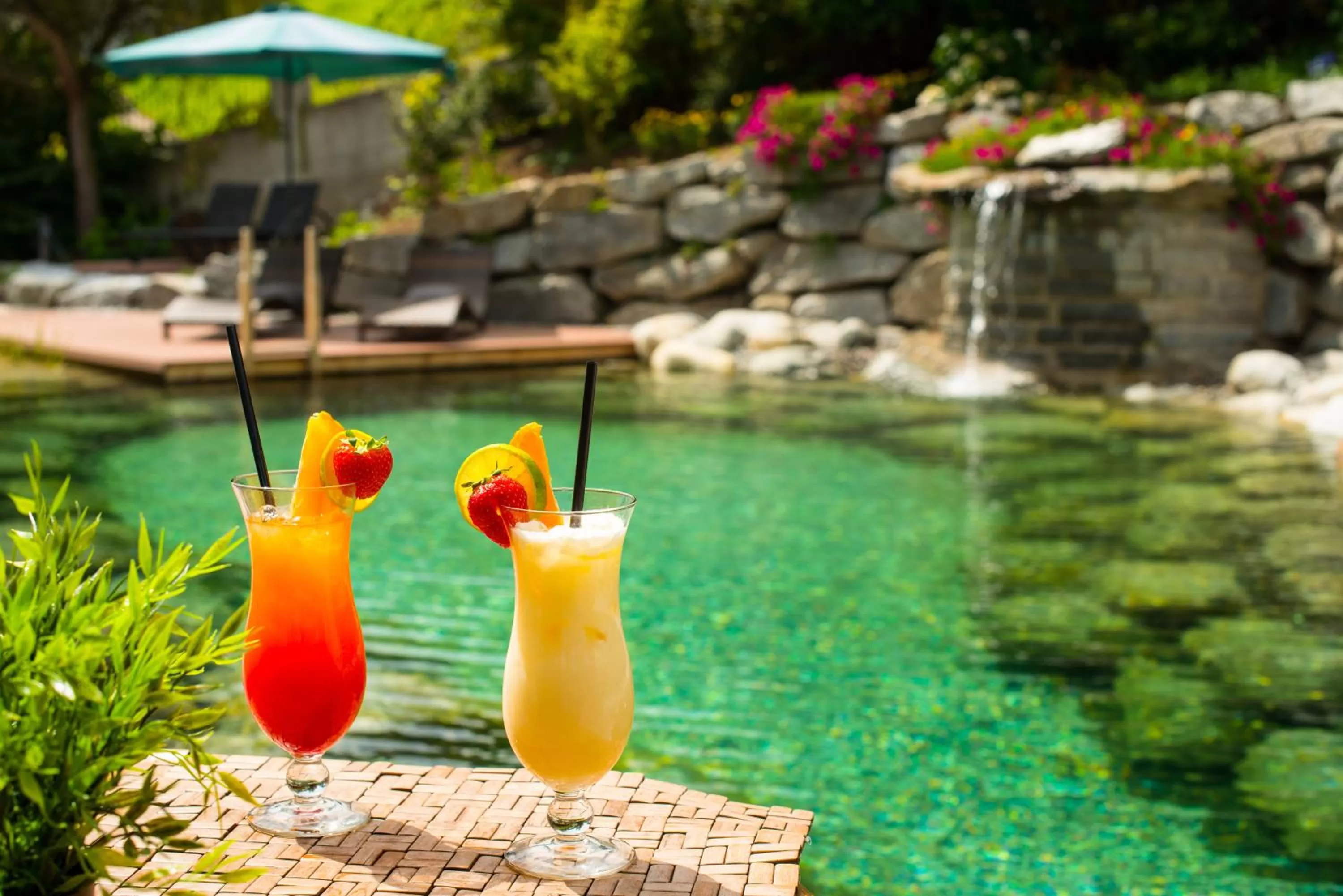 Garden in Sporthotel Cristall