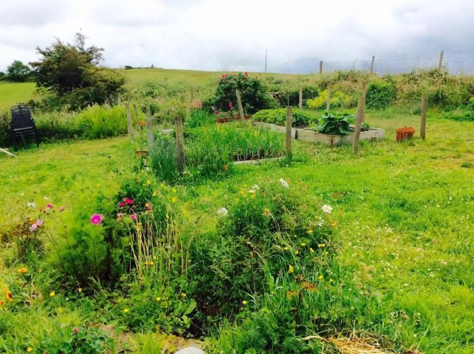 Property building in Holland House F94DP26