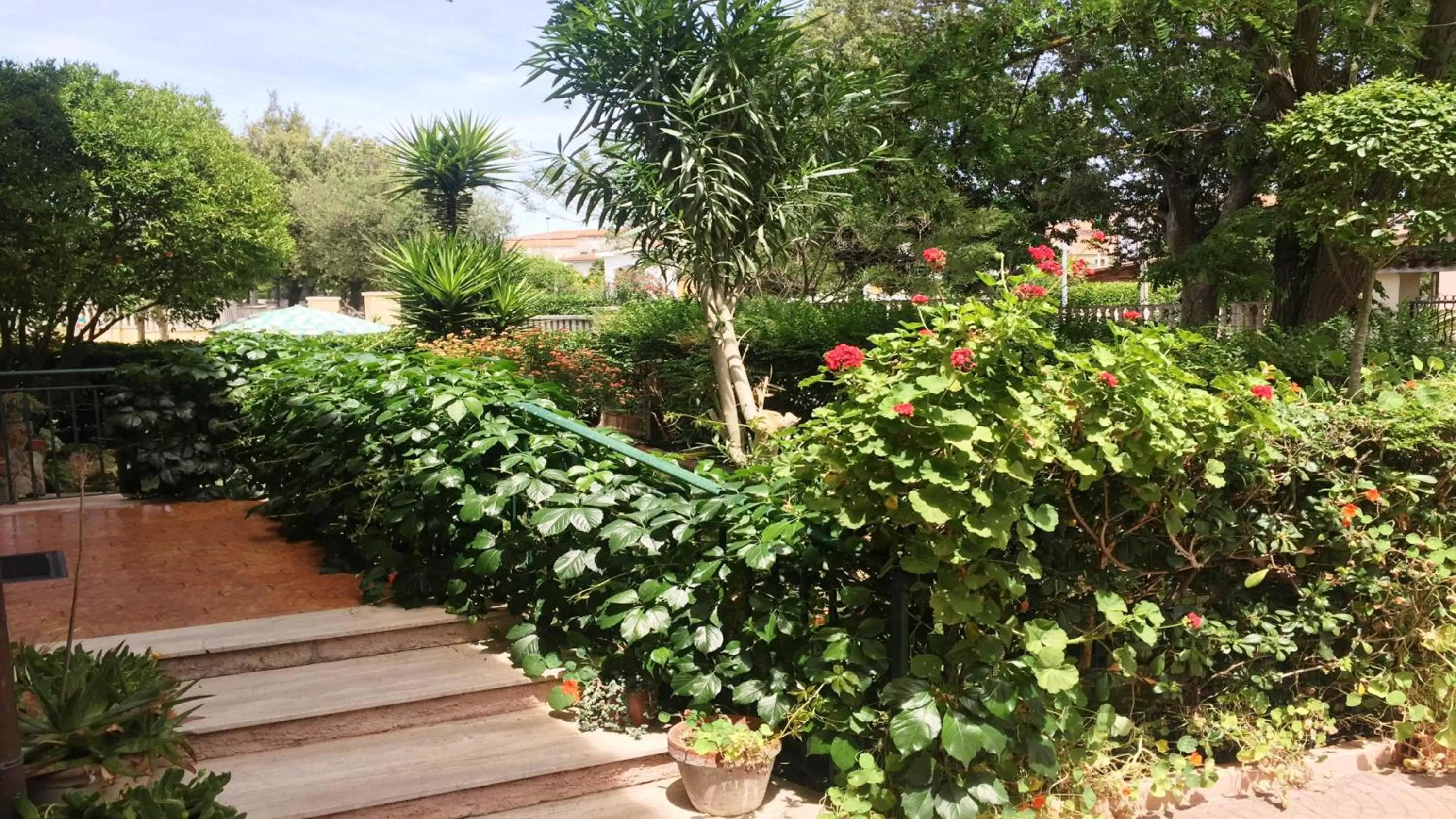 Garden in B&B Pani Silvio