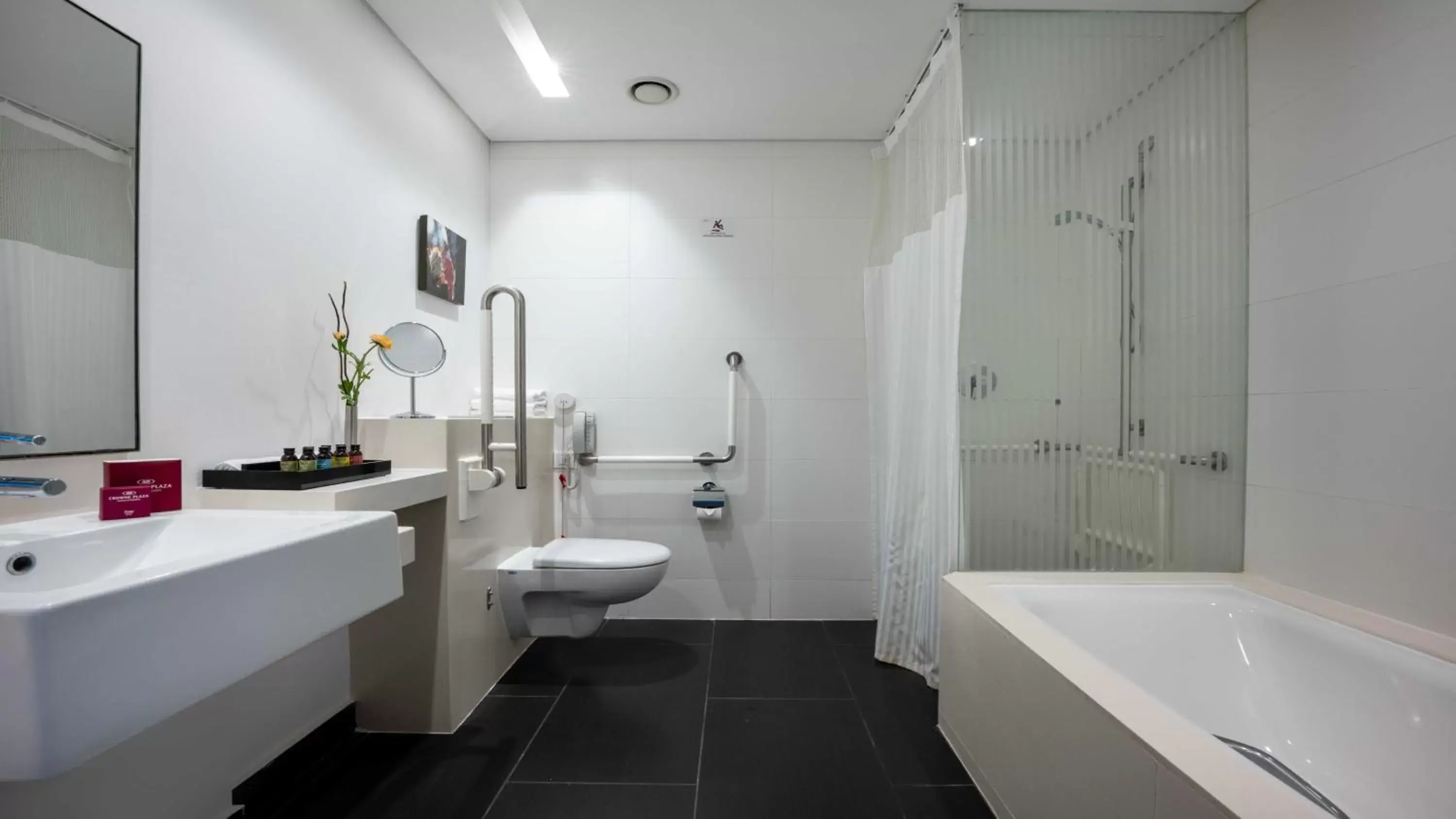 acessibility, Bathroom in Crowne Plaza Tel Aviv City Center, an IHG Hotel