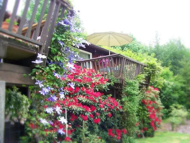 Garden, Property Building in Misty Valley Inn