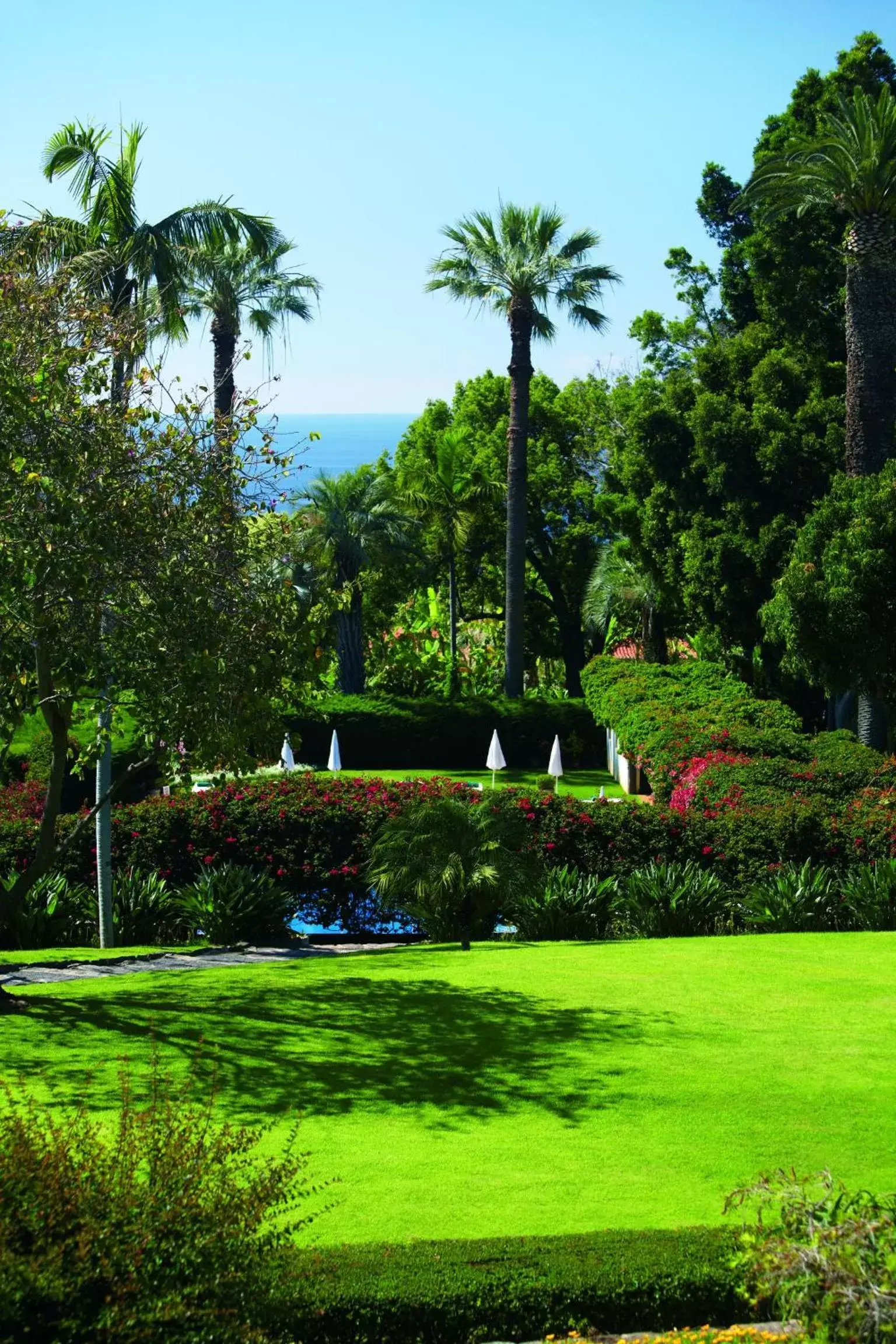 Garden in Quinta da Casa Branca