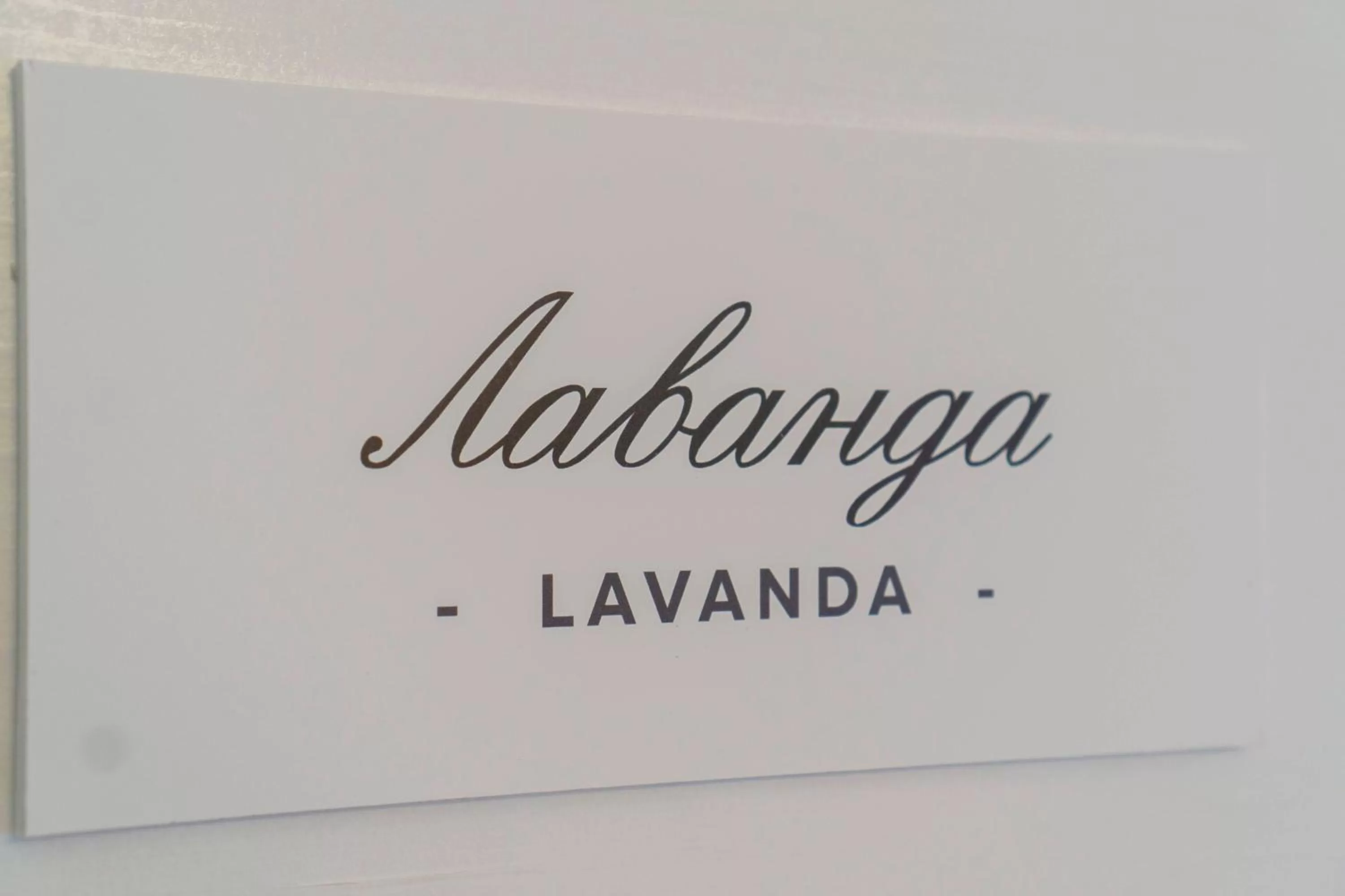 Decorative detail in Herceg Vila