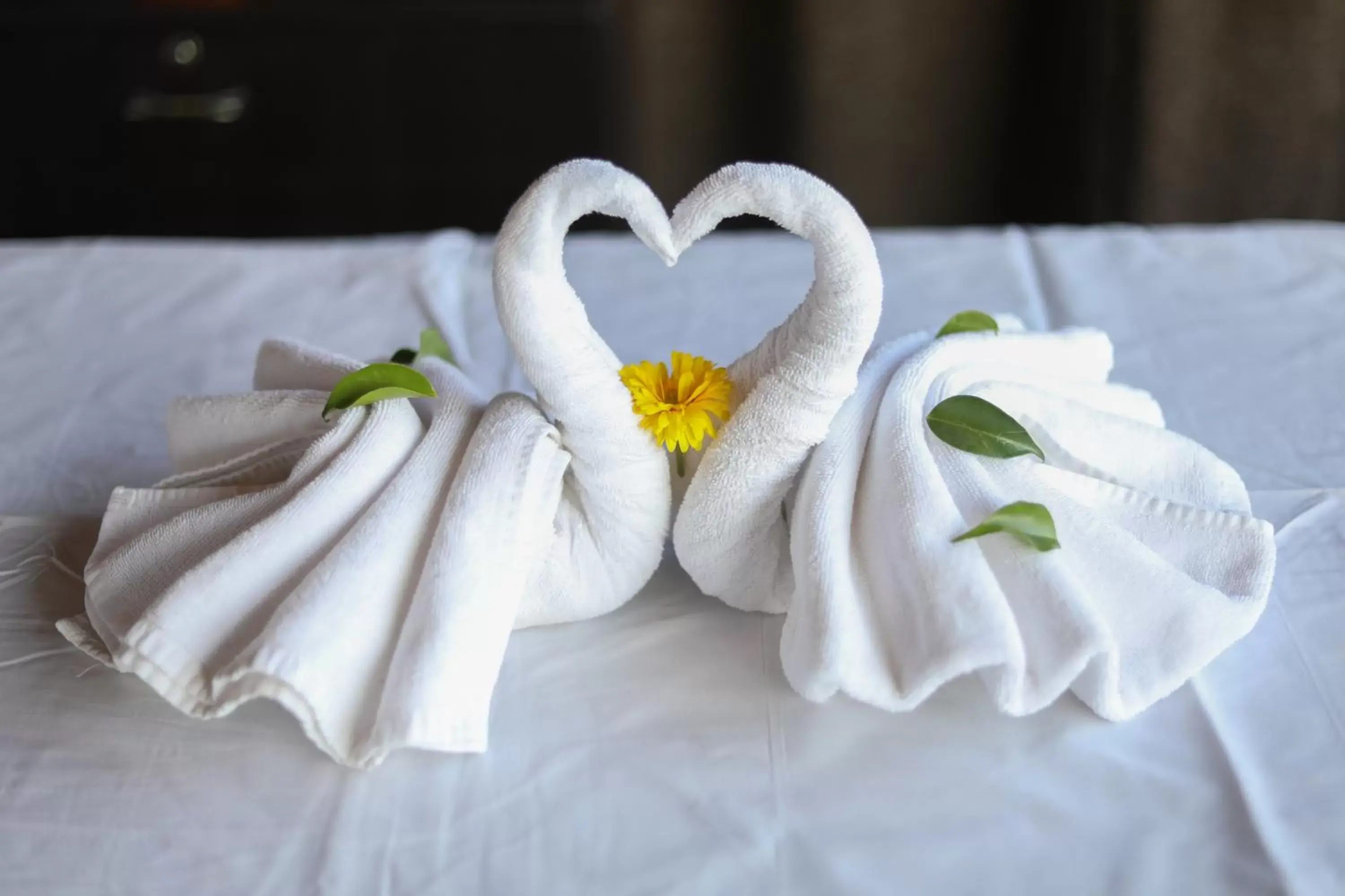 Spa and wellness centre/facilities in Bella Vista Mahabaleshwar Spa and wellness centre/facilities in Bella Vista Mahabaleshwar