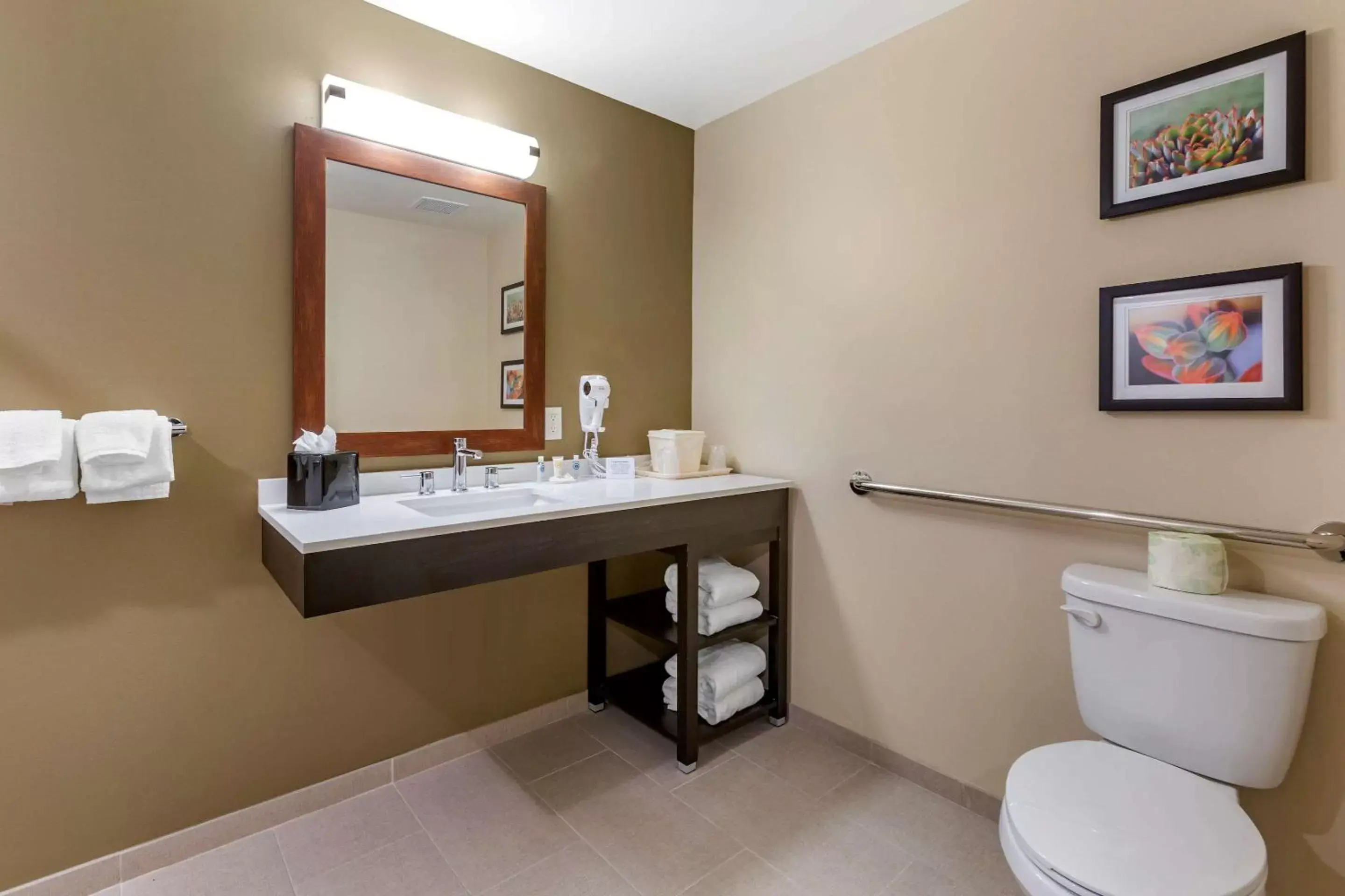 Photo of the whole room, Bathroom in Comfort Suites Albuquerque Airport