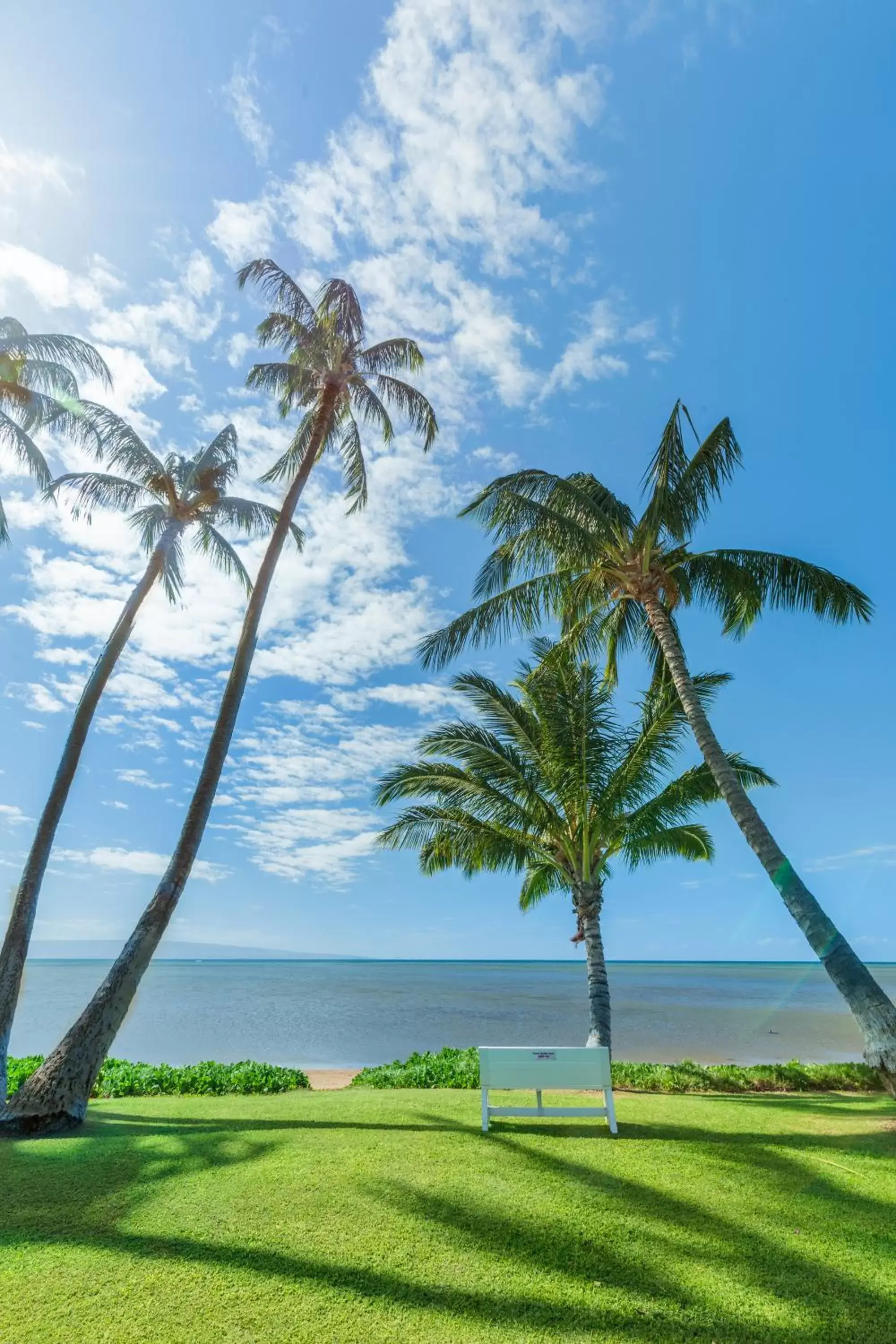 Beach, Garden in Castle Molokai Shores