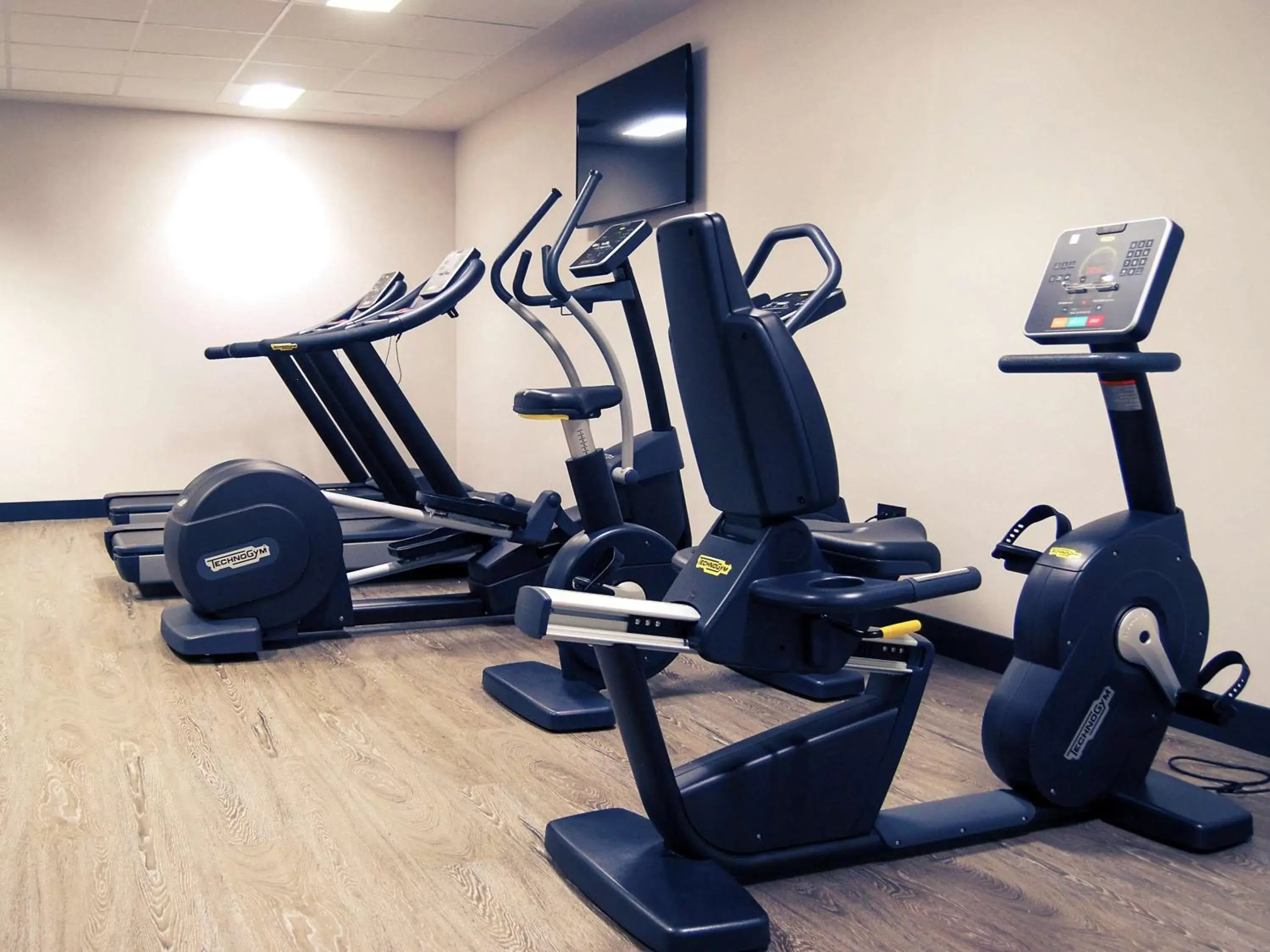 Fitness centre/facilities, Fitness Center/Facilities in Hotel Mercure Jardines de Albia