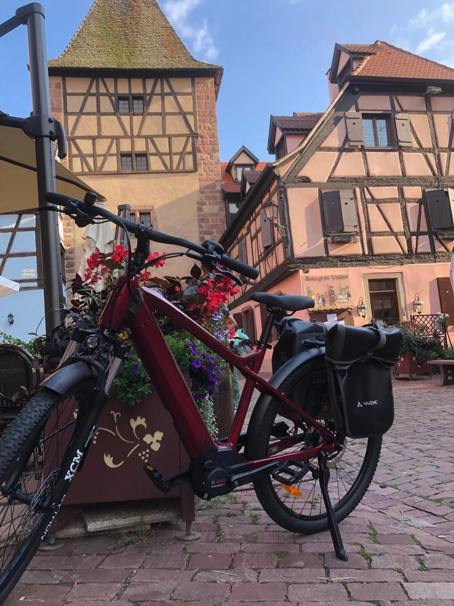 Cycling in Hotel Arc-En-Ciel Colmar Contact Hotel