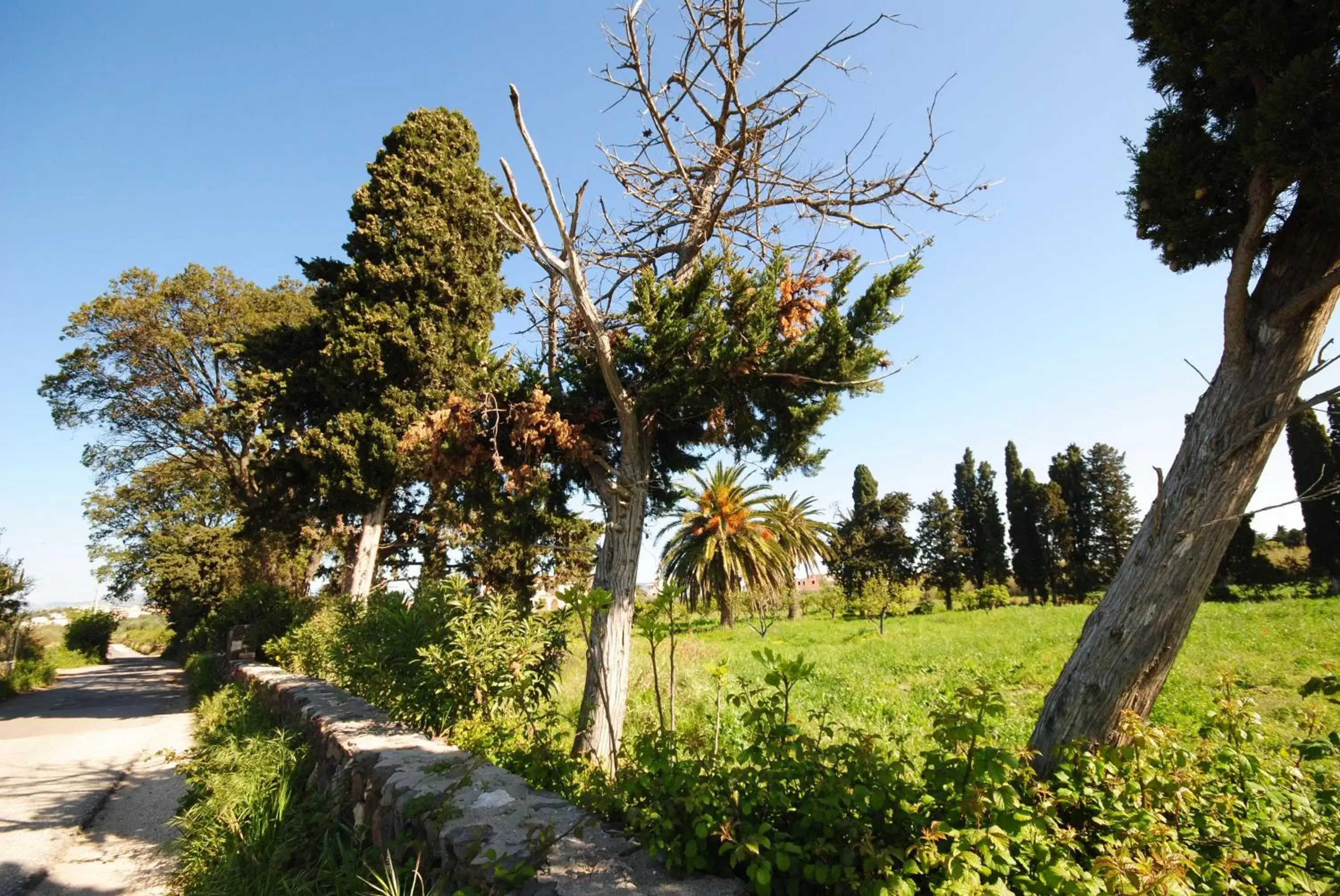 Area and facilities, Garden in Holiday Residence Rifugio