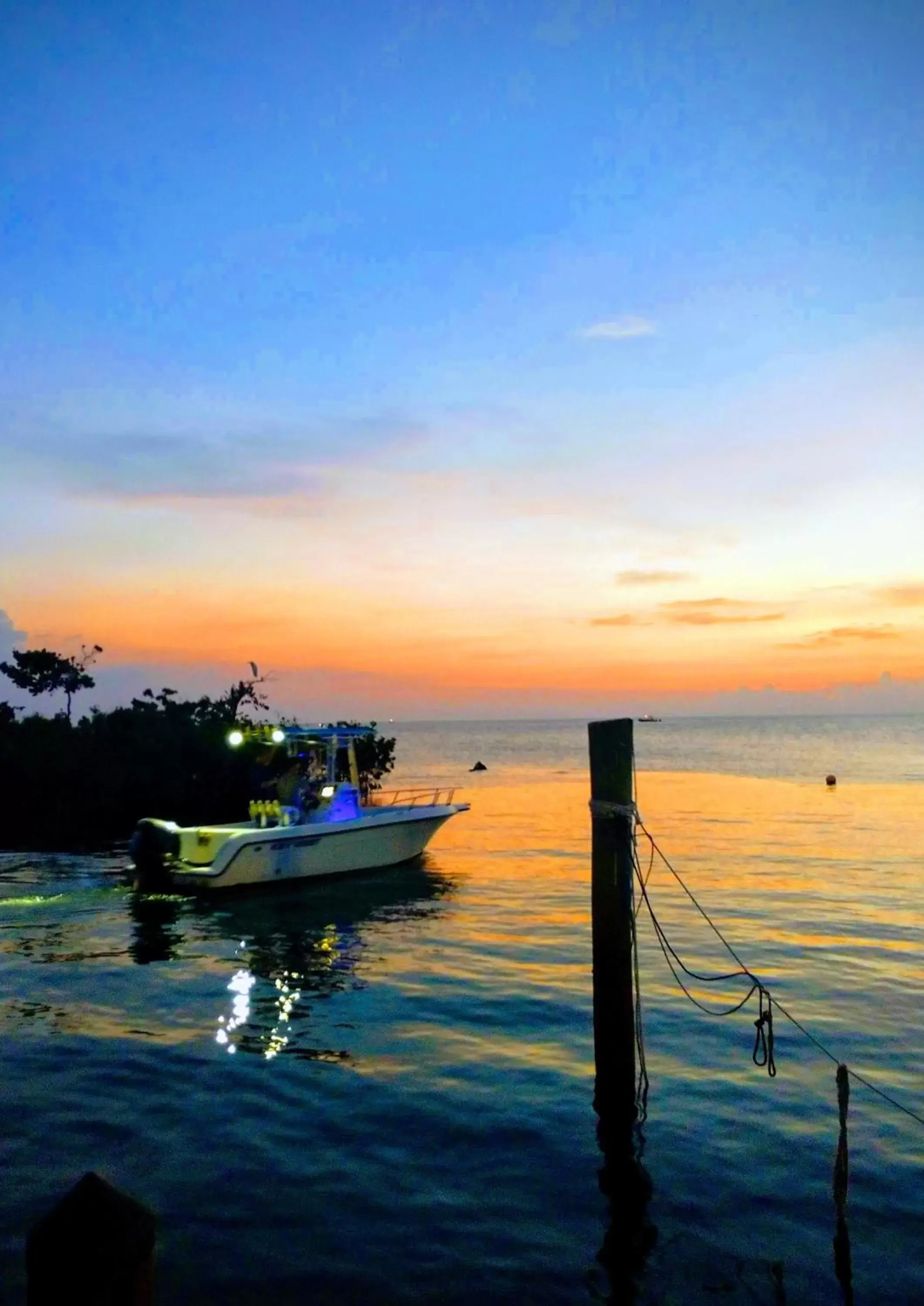 Natural landscape in Conch Key Fishing Lodge & Marina