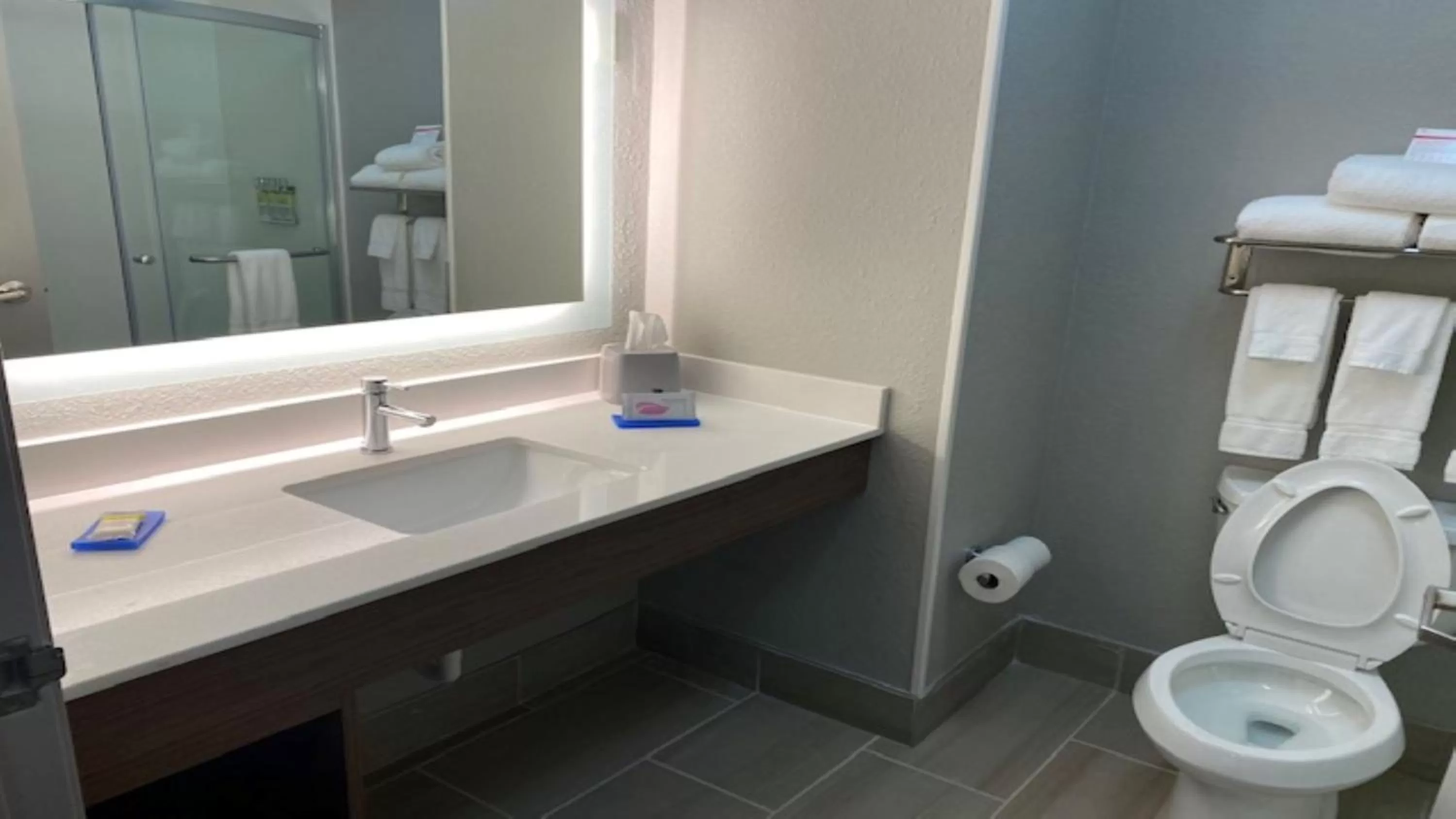 Bathroom in Holiday Inn Express & Suites - Enterprise by IHG