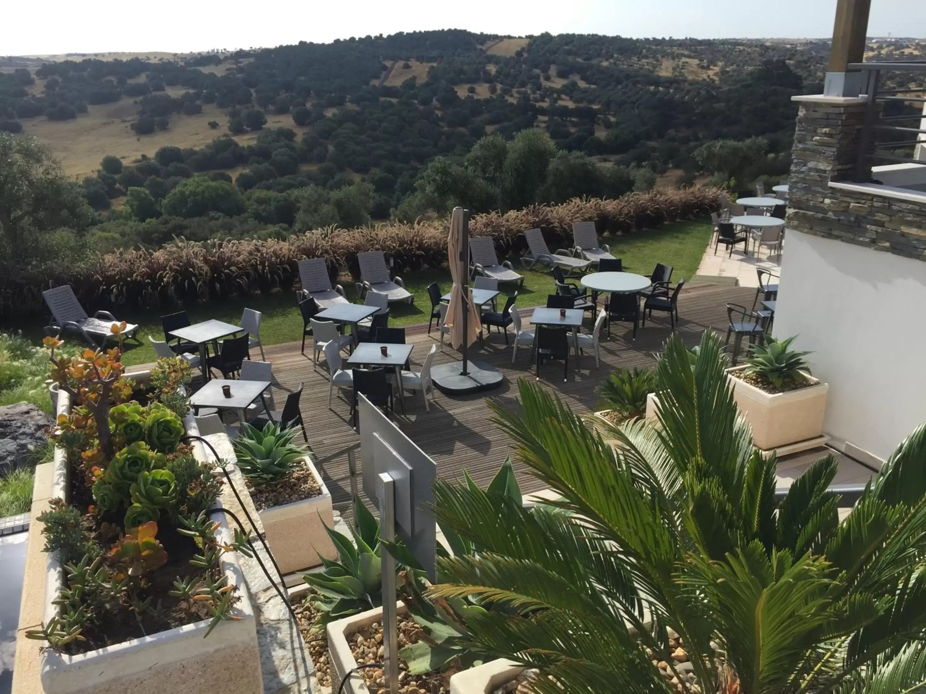 Food and drinks, Bird's-eye View in Vistas - Herdade do Zambujal