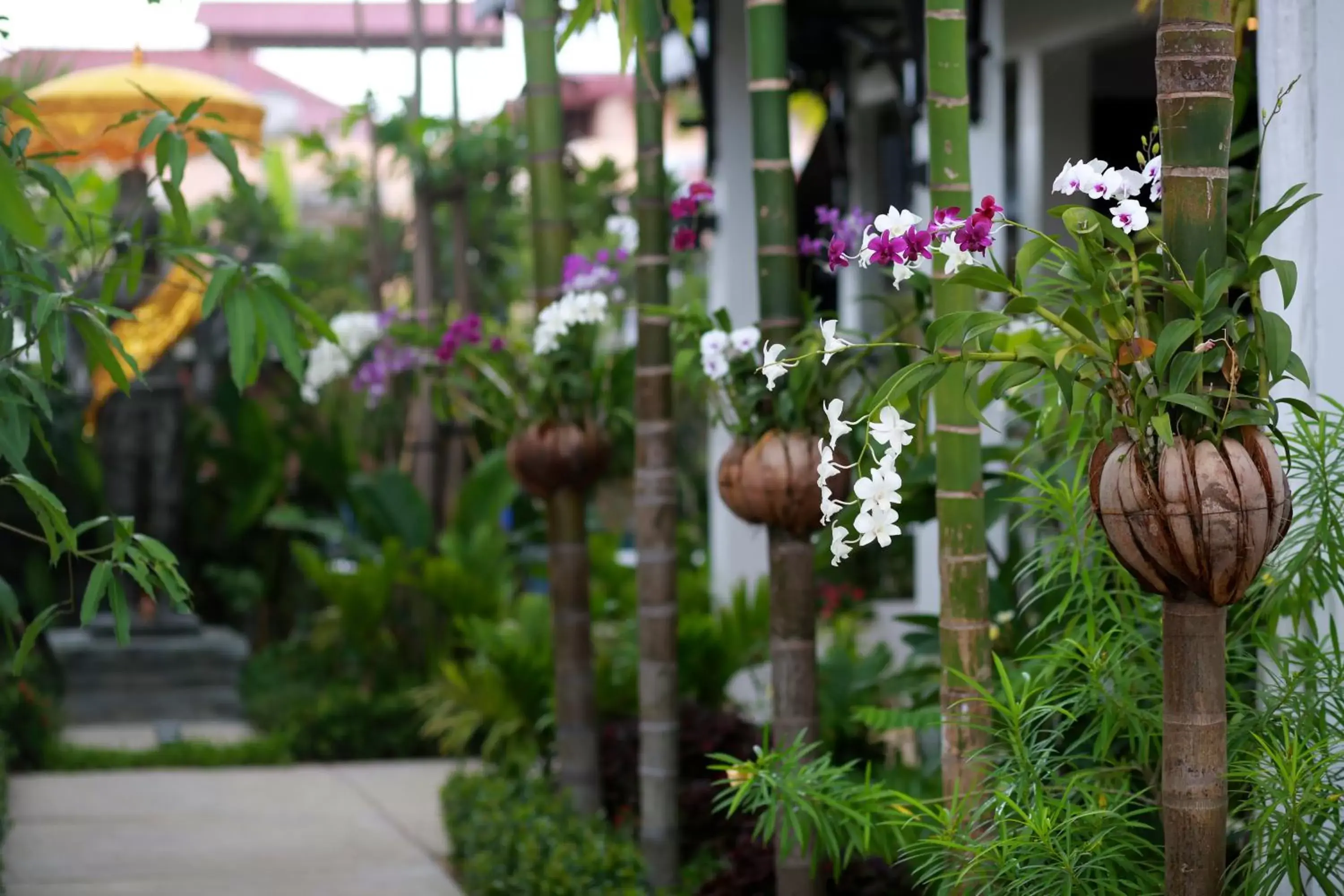 Garden in Khmer Mansion Boutique Hotel