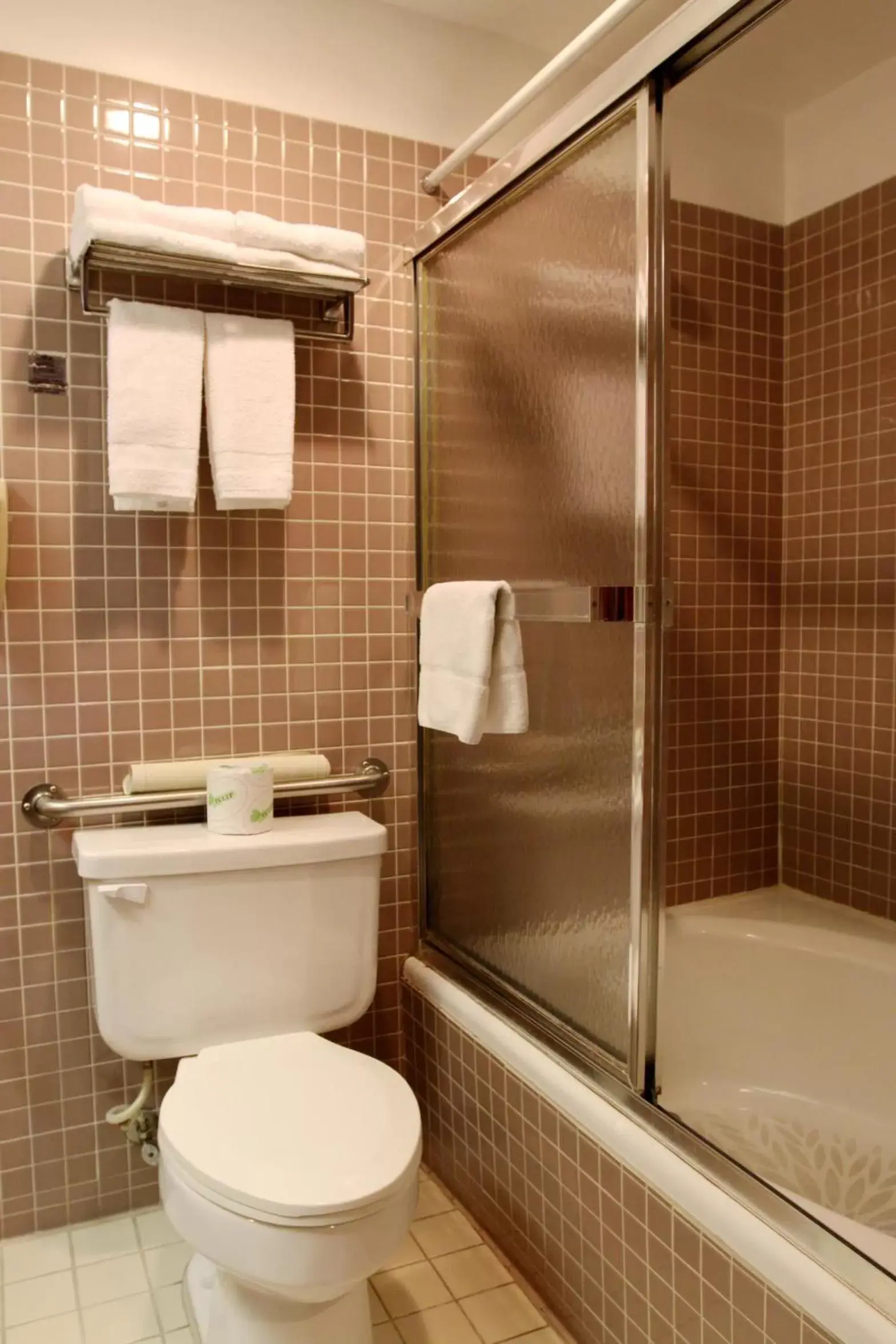 Toilet, Bathroom in Metro Plaza Hotel