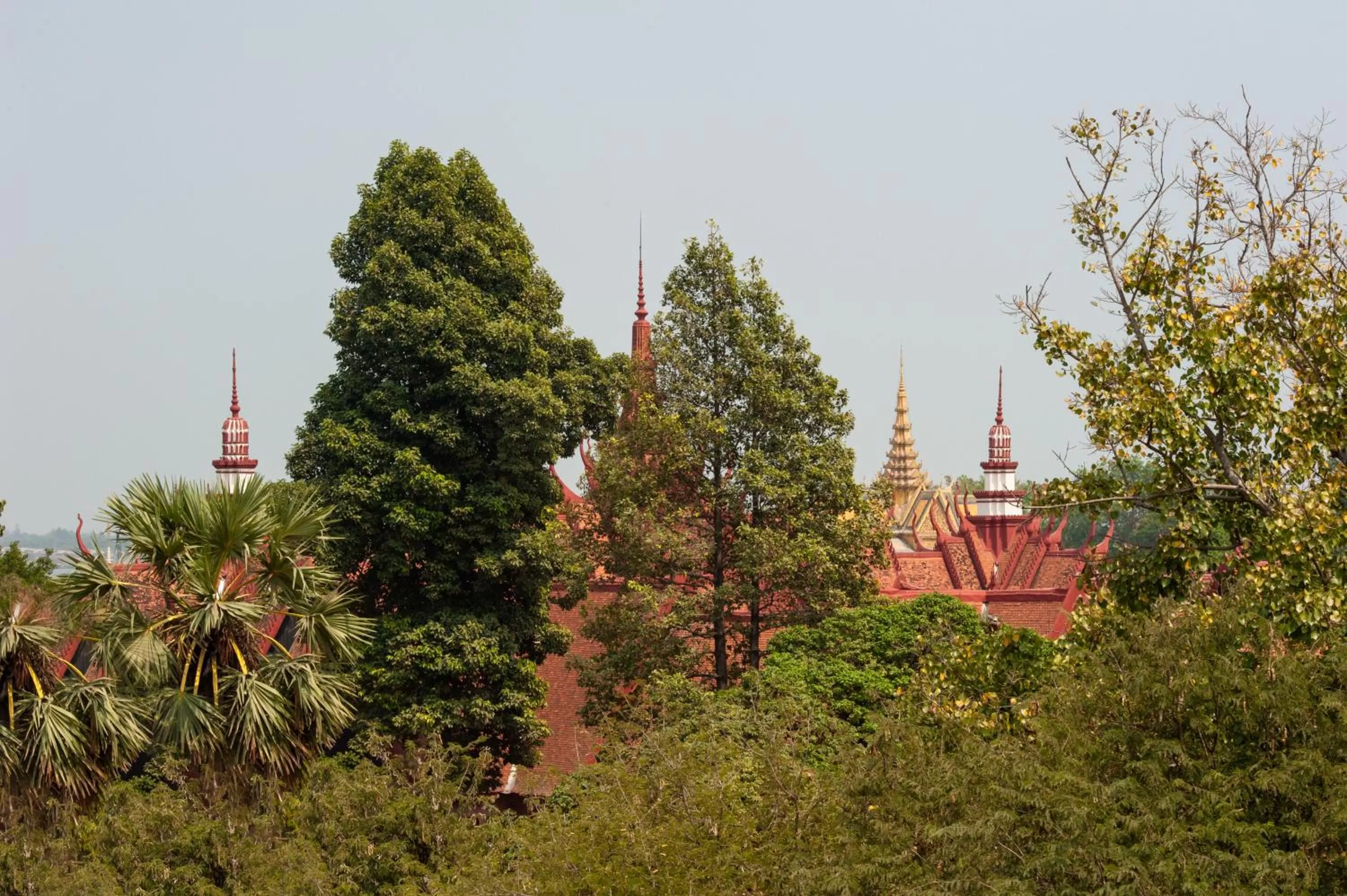 Bird's eye view in The Artist Residence