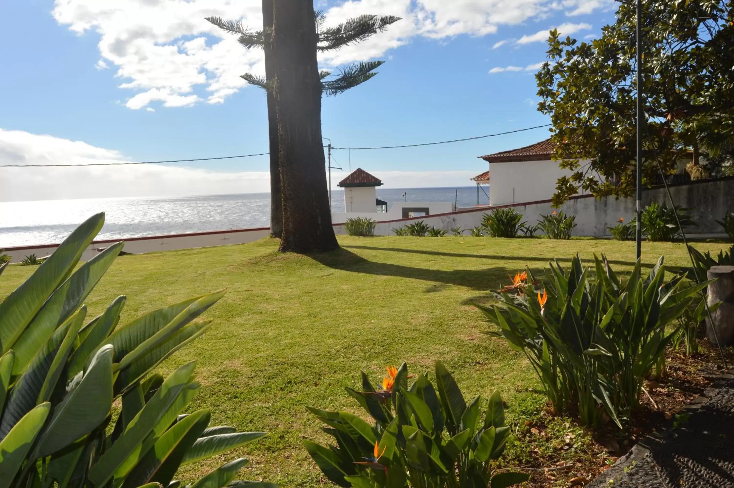 Garden in Quinta Da Penha De Franca