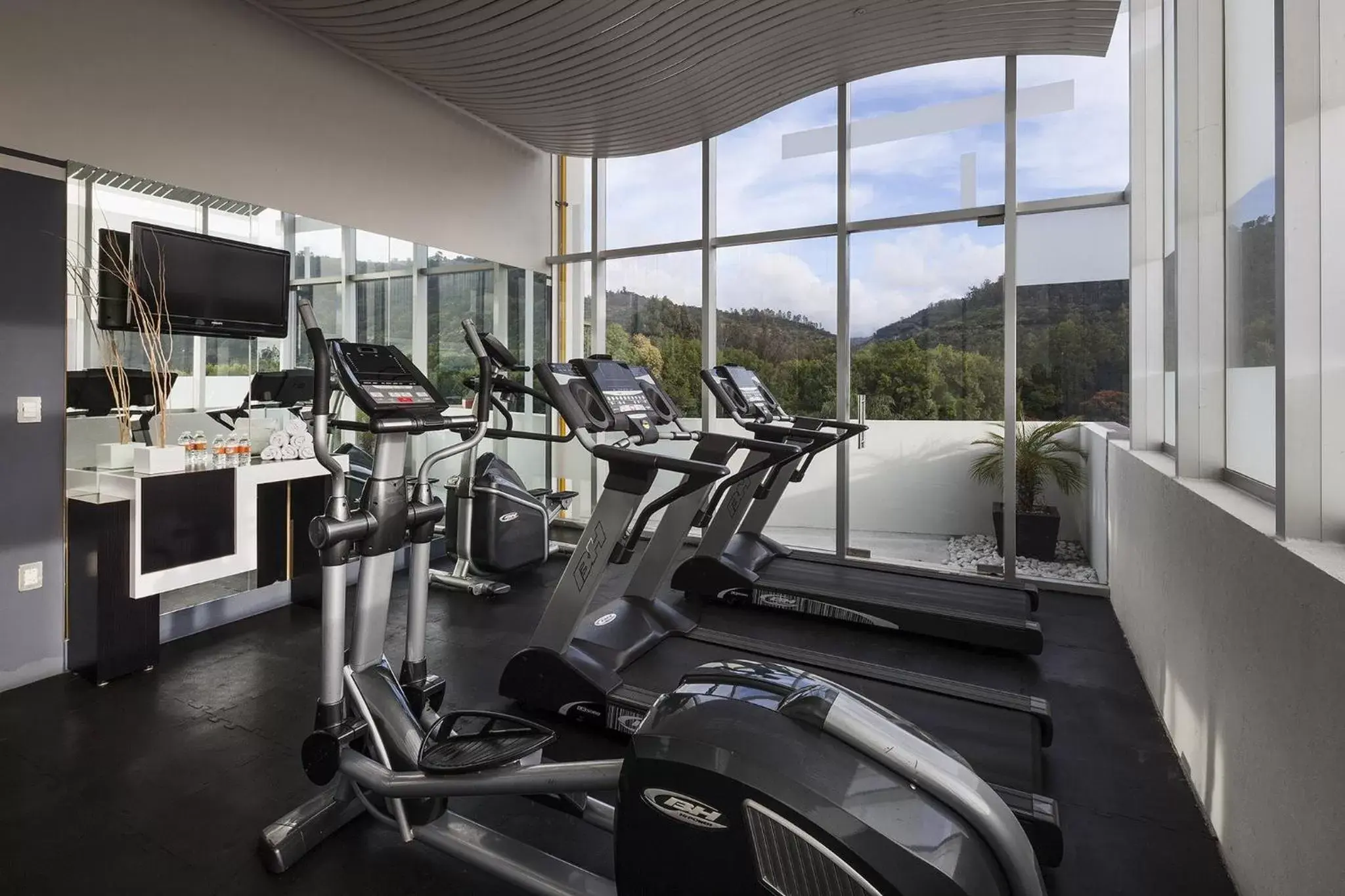 Spa and wellness centre/facilities, Fitness Center/Facilities in Gamma Morelia Belo