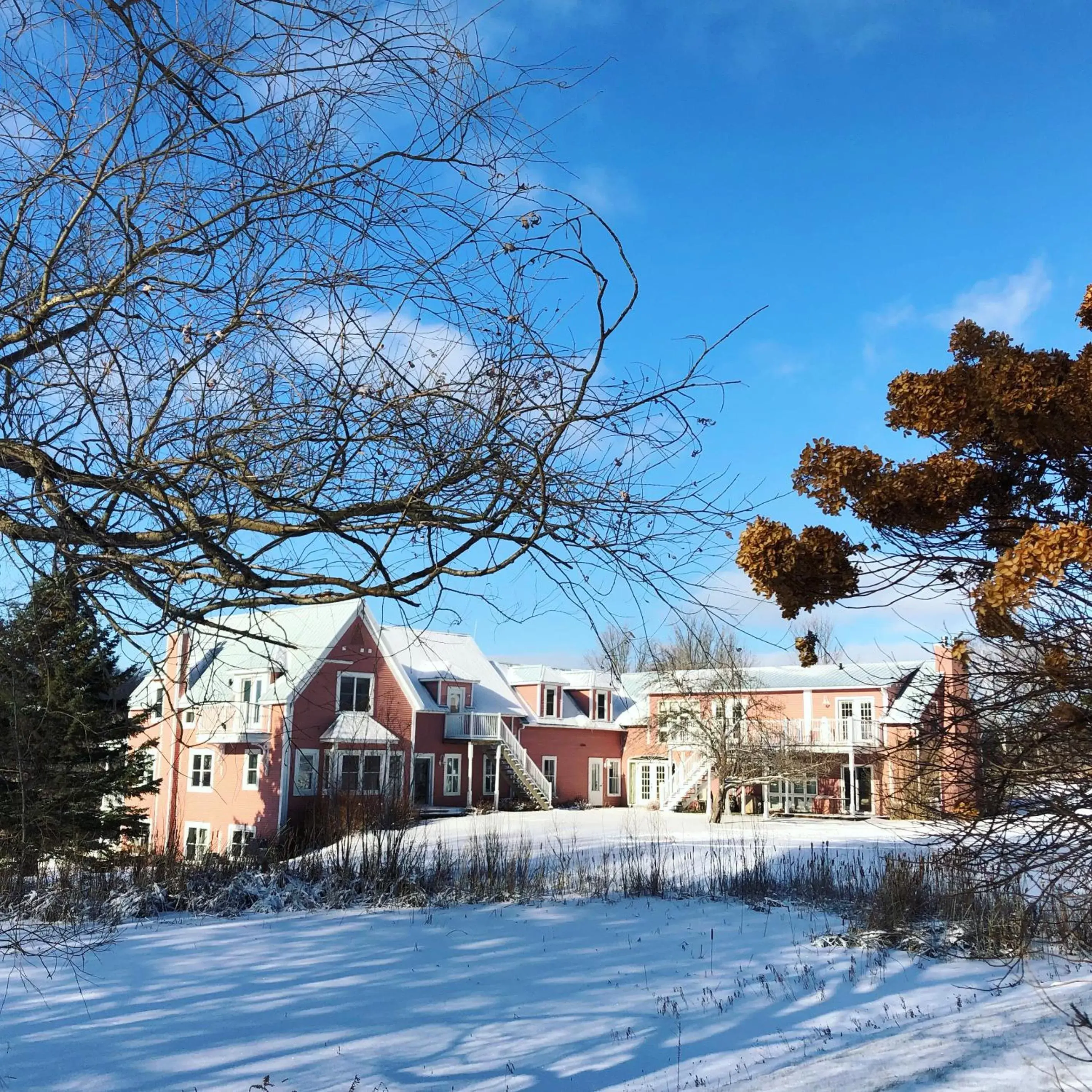 Property building, Winter in Auberge Le Tricorne