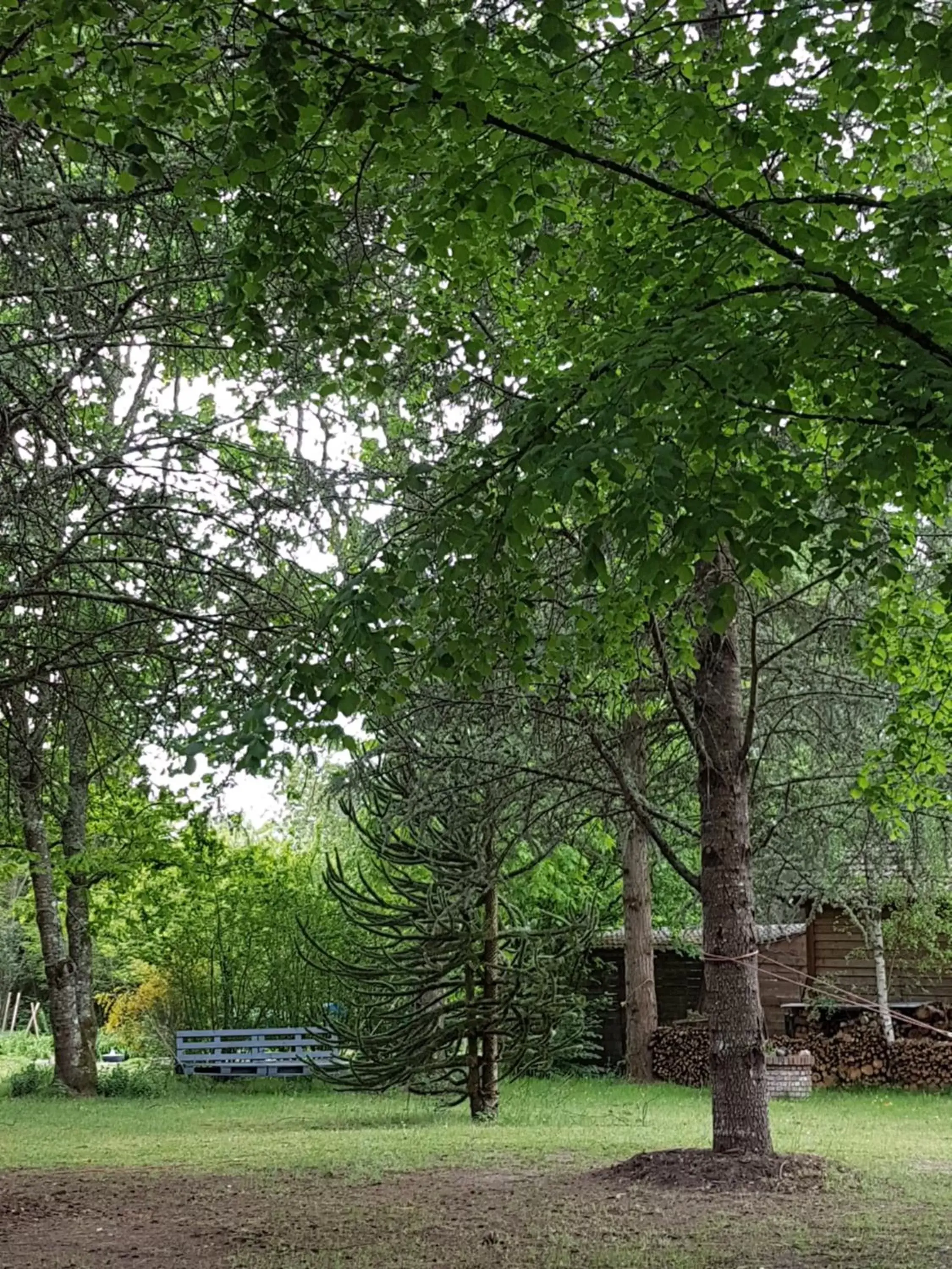 Natural landscape, Garden in Le Clos des Écureuils