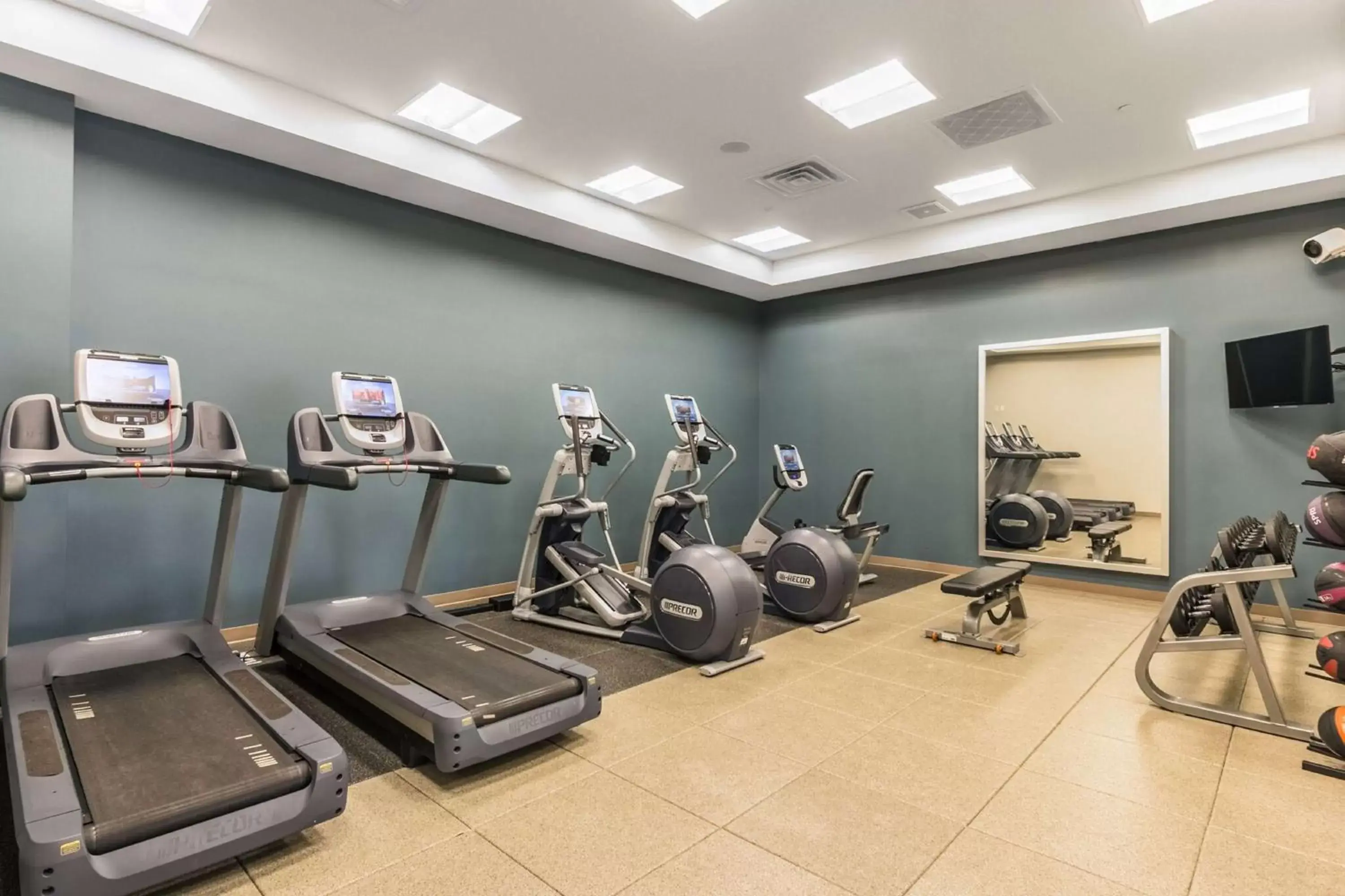 Fitness centre/facilities, Fitness Center/Facilities in Embassy Suites by Hilton Newark Airport