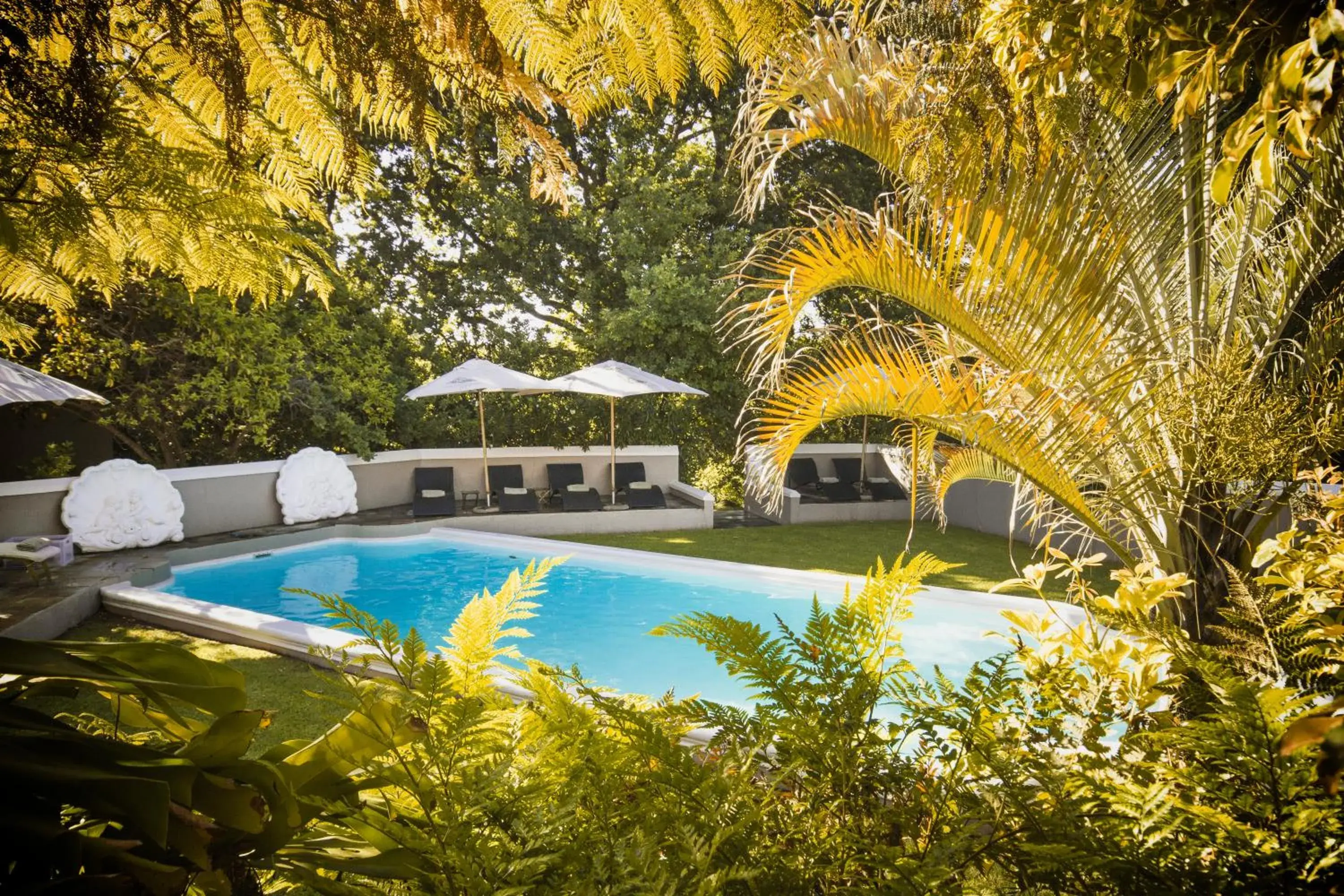 Swimming Pool in Schoone Oordt Country House