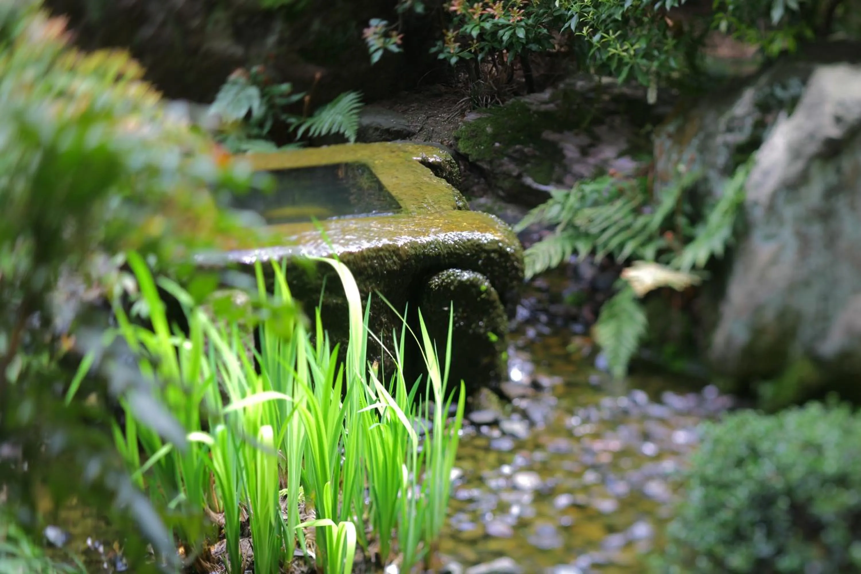 Garden in Grandia Housen
