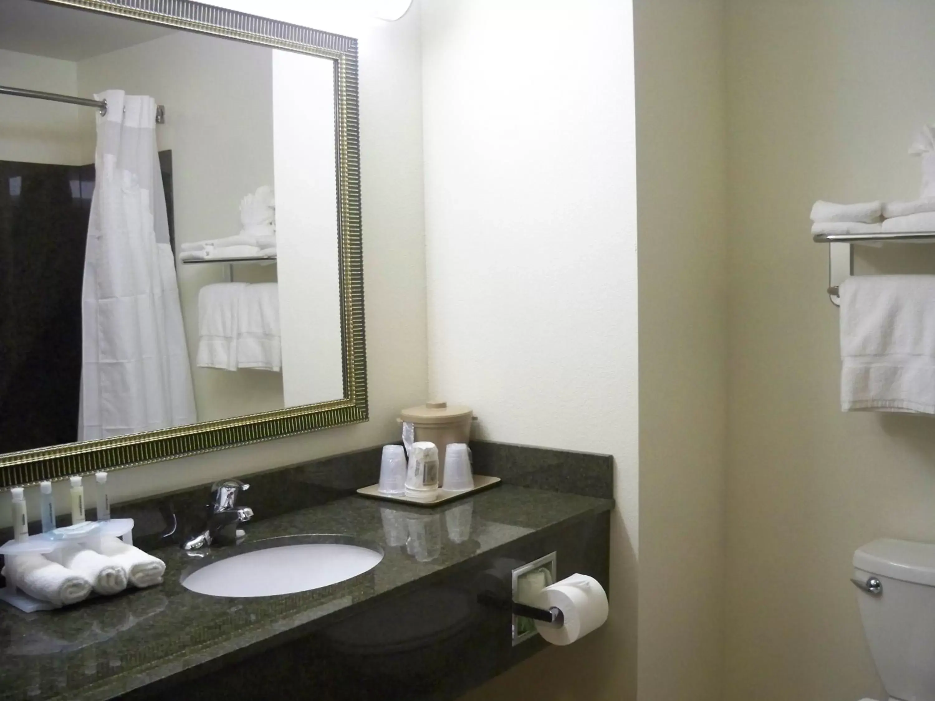 Bathroom in Holiday Inn Express & Suites - Omaha I - 80, an IHG Hotel