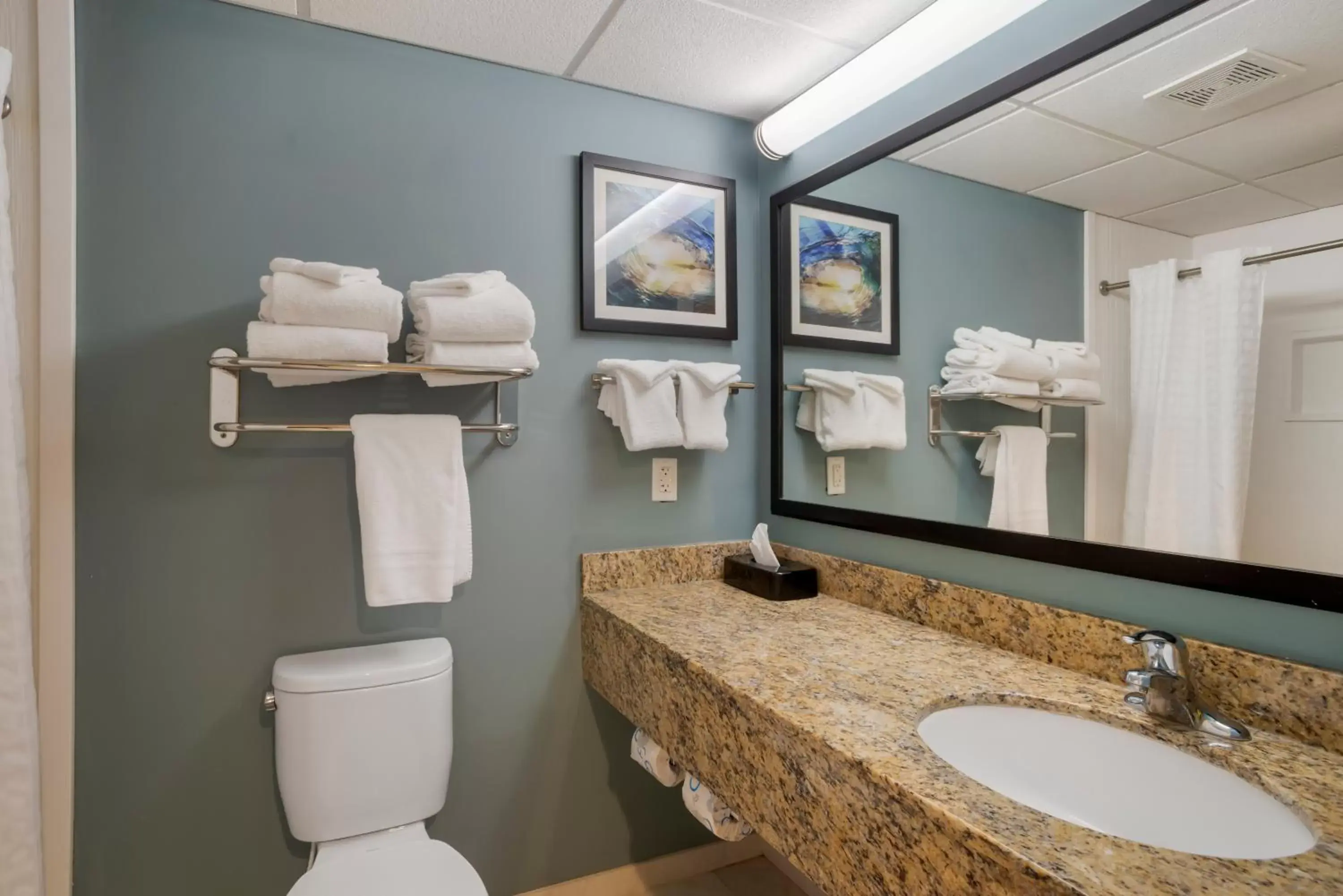 Toilet, Bathroom in Best Western Plus Ocean City