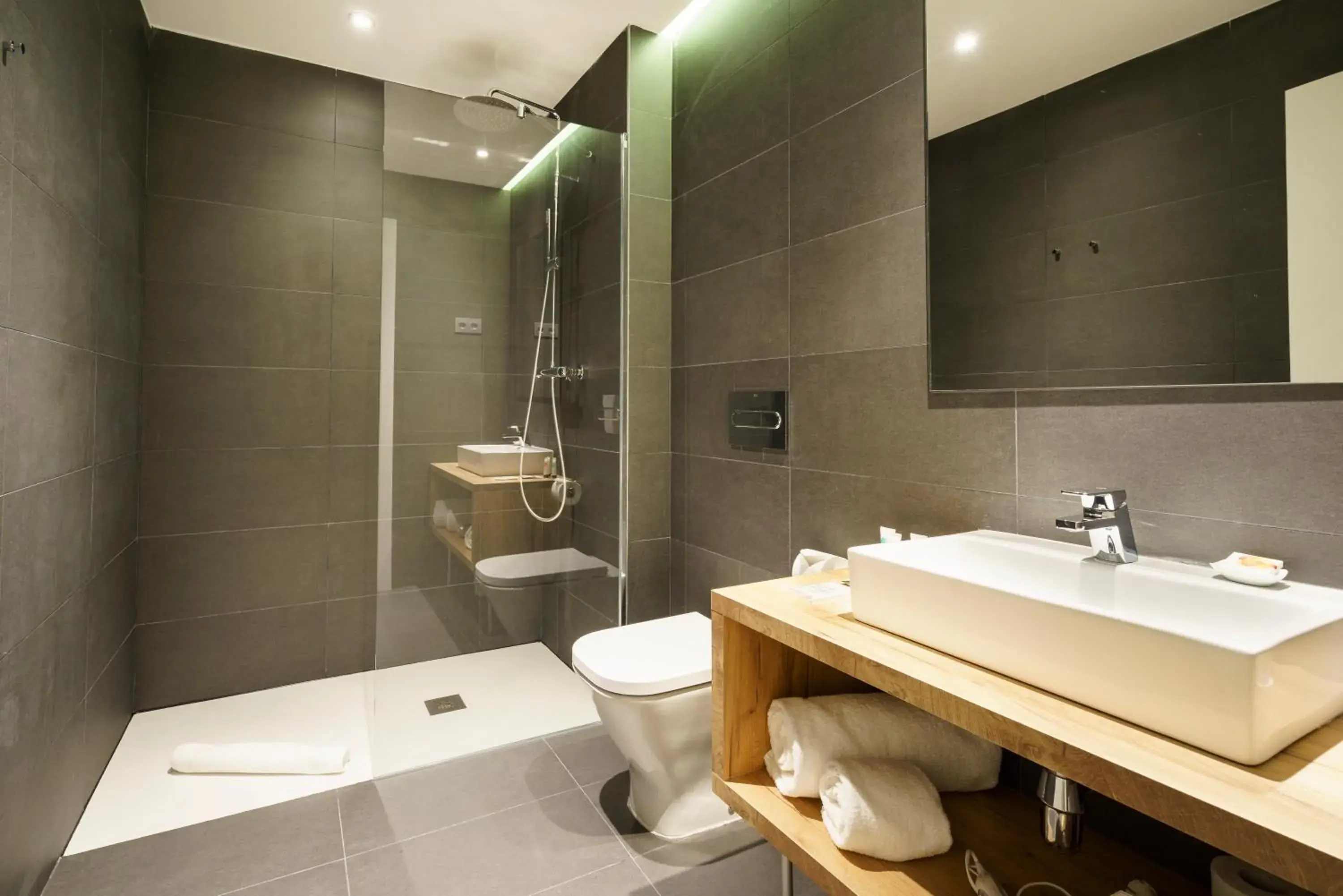 Shower, Bathroom in The Walt Madrid