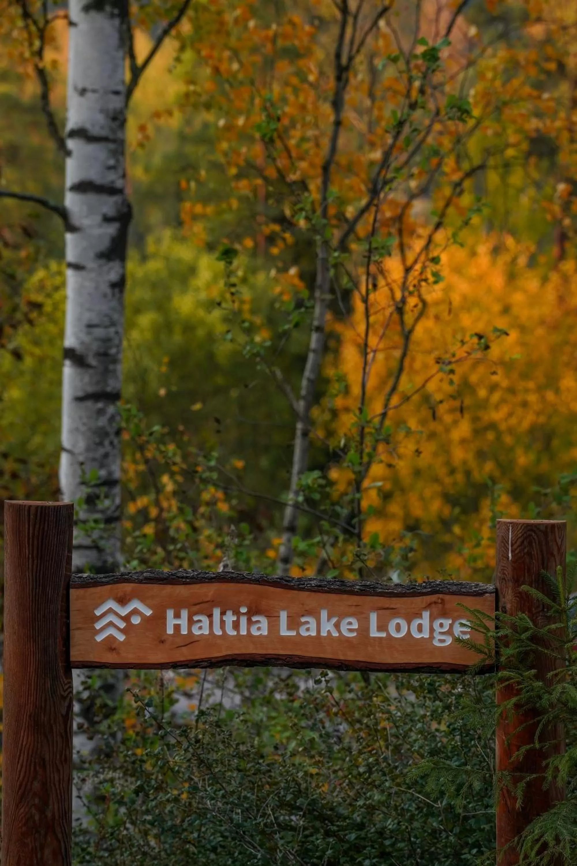 Haltia Lake Lodge nature boutique hotel & glamping