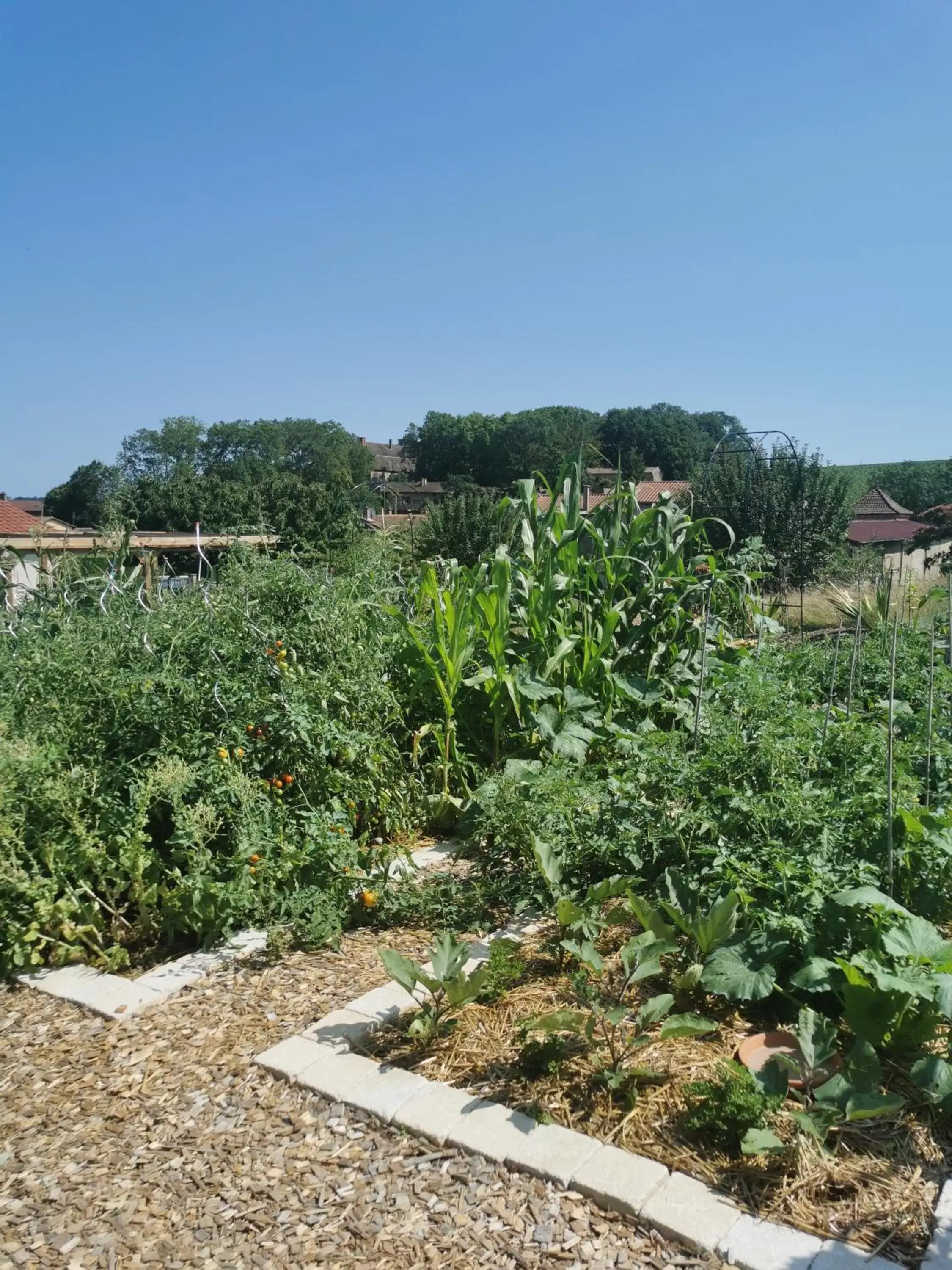 Garden in Au Jardin des Deux Roches