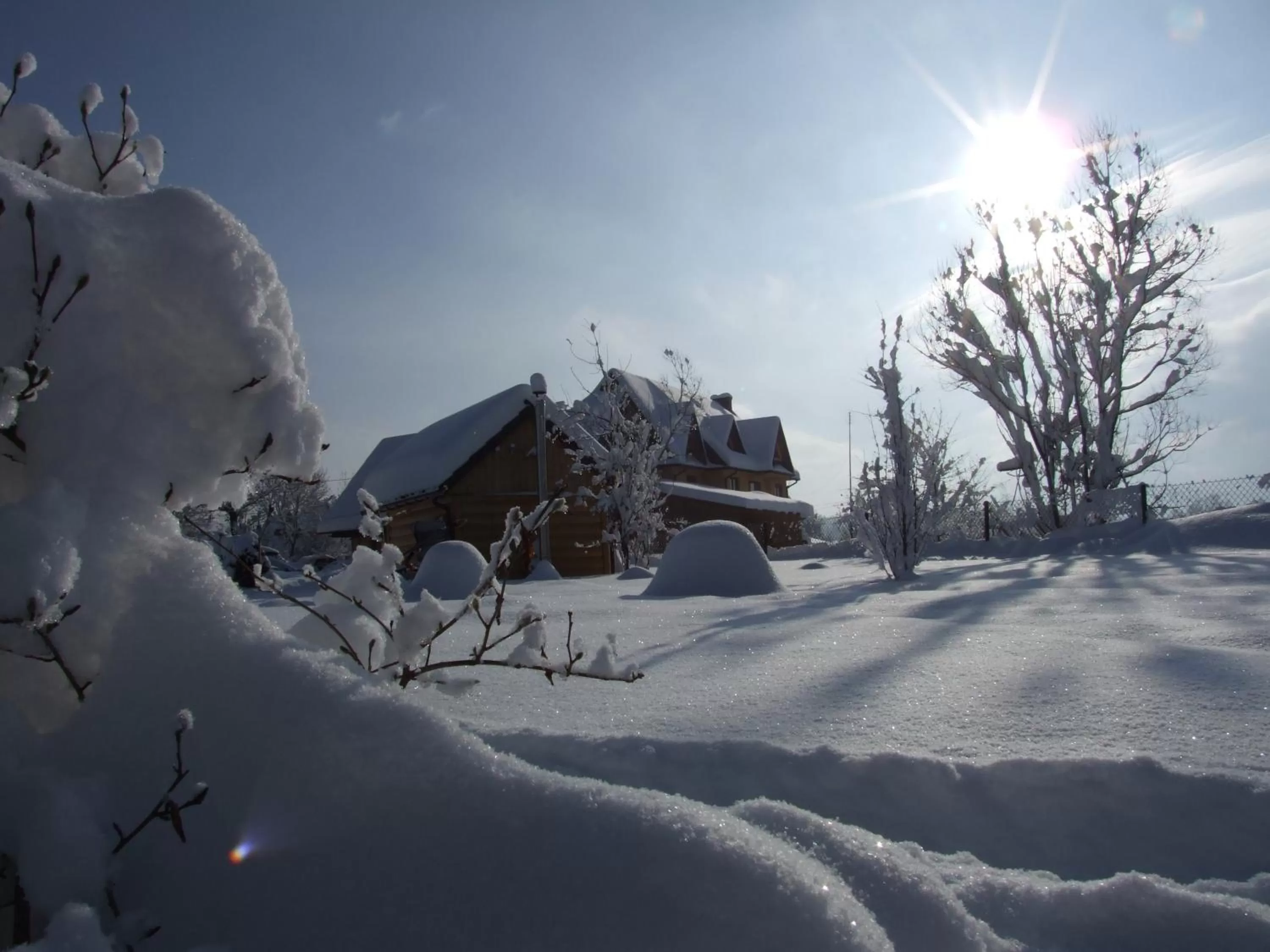 Garden in Wynajem Pokoi ,,Góry Tatry Wypoczynek "Paweł Kuczyński