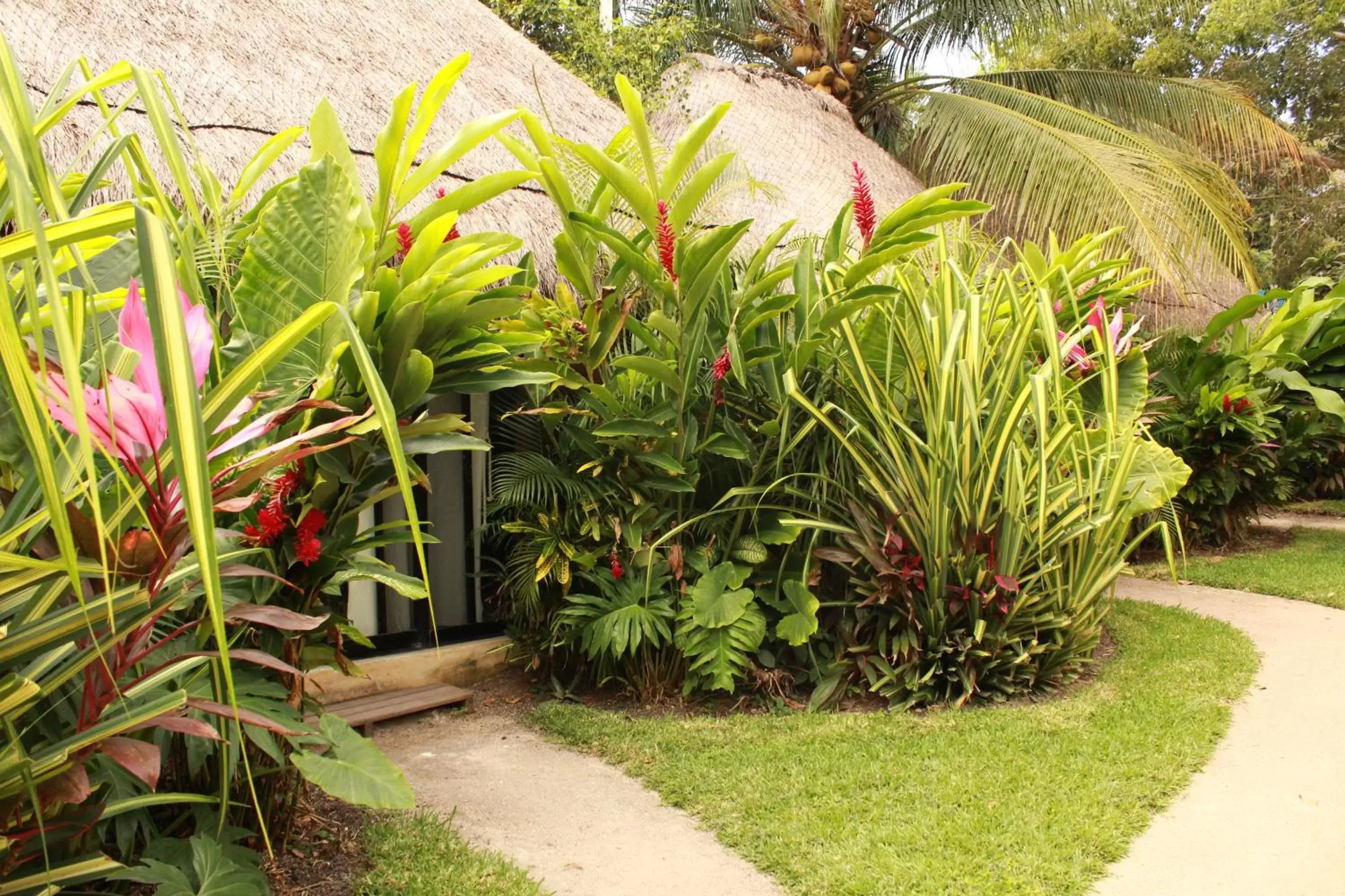 Garden in Hotel CasaBakal - A pie de Laguna - Bacalar